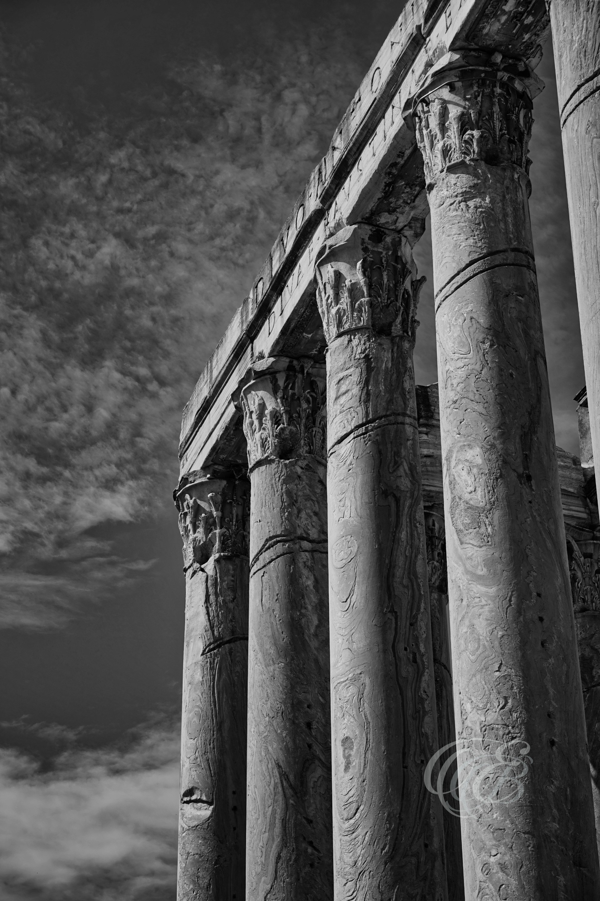 Italy - Rome - Columns of the Temple of Antoninus and Faustina in black and white, ancient Corinthian columns and Roman temple façade, photography of Italy, Eduardo Bartoli Photography