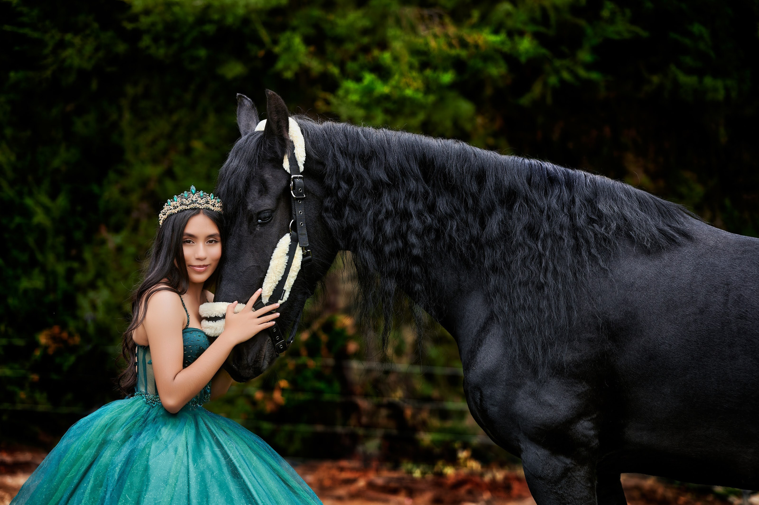 Fotos con caballos en Colombia