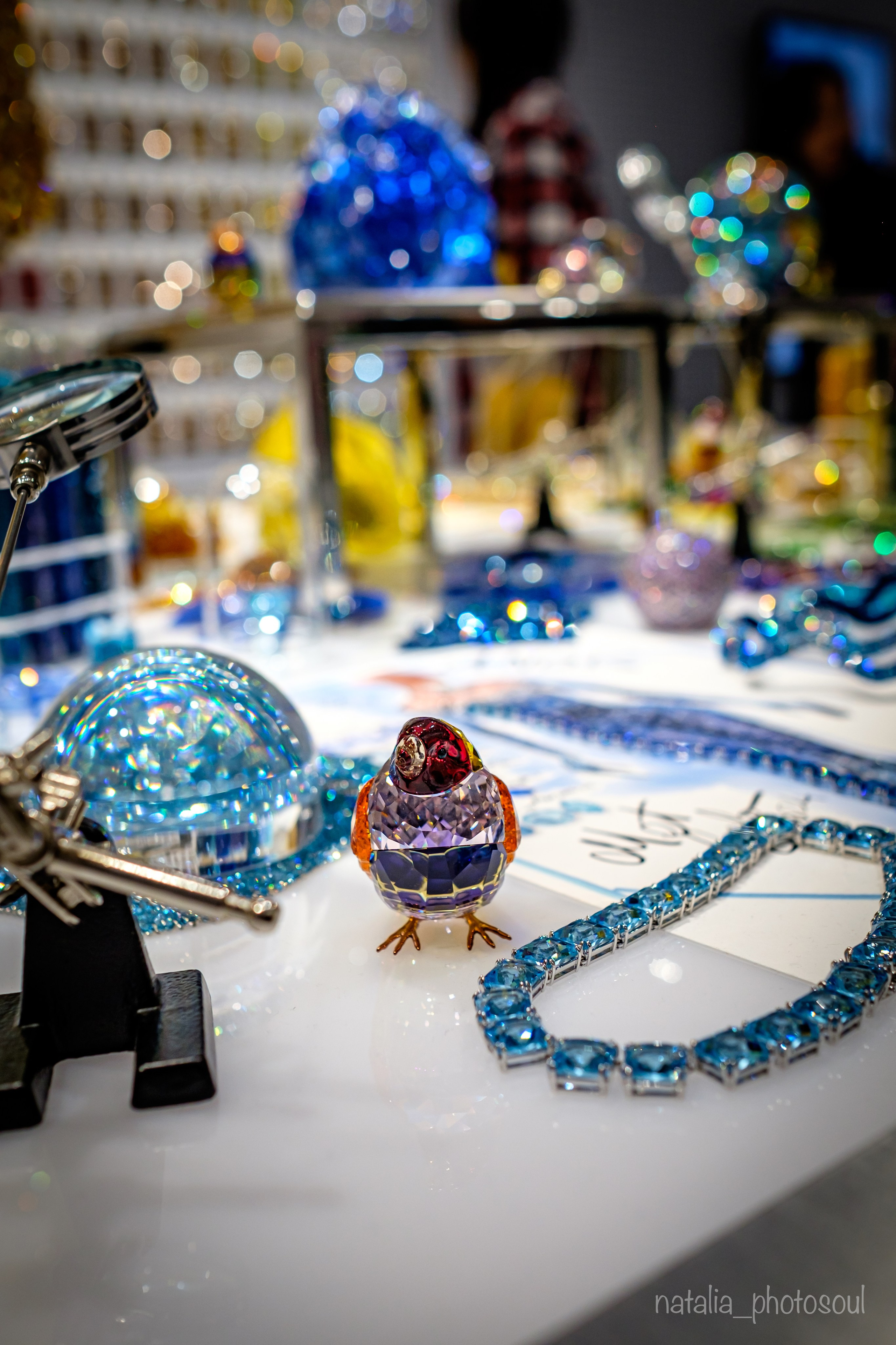 SWAROVSKI MASTERS OF LIGHT FROM VIENNA TO SEOUL. Photographer in Seoul Dobrokvashina Natalya