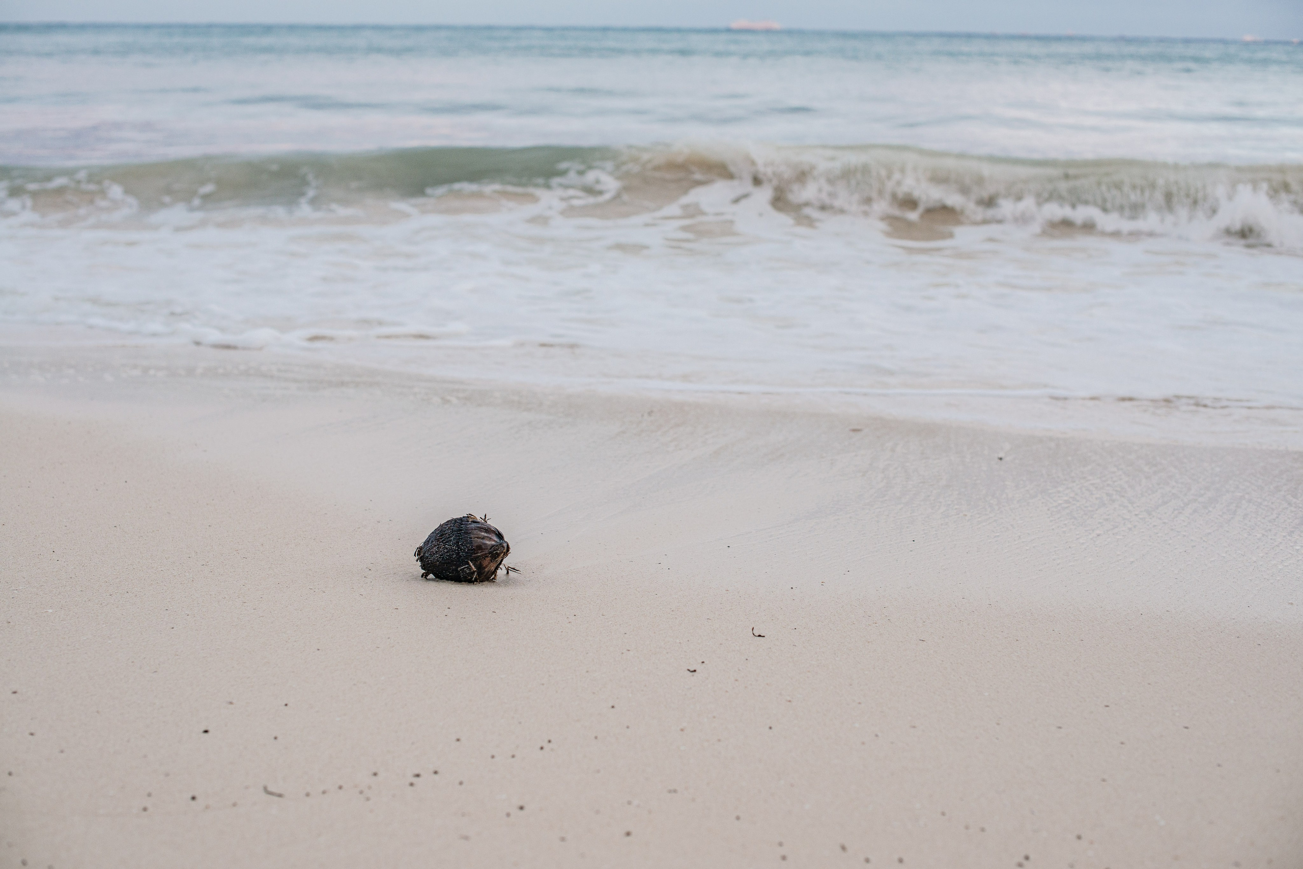 A family walk on the beach. PHOTOGRAPHER QUINTANA ROO