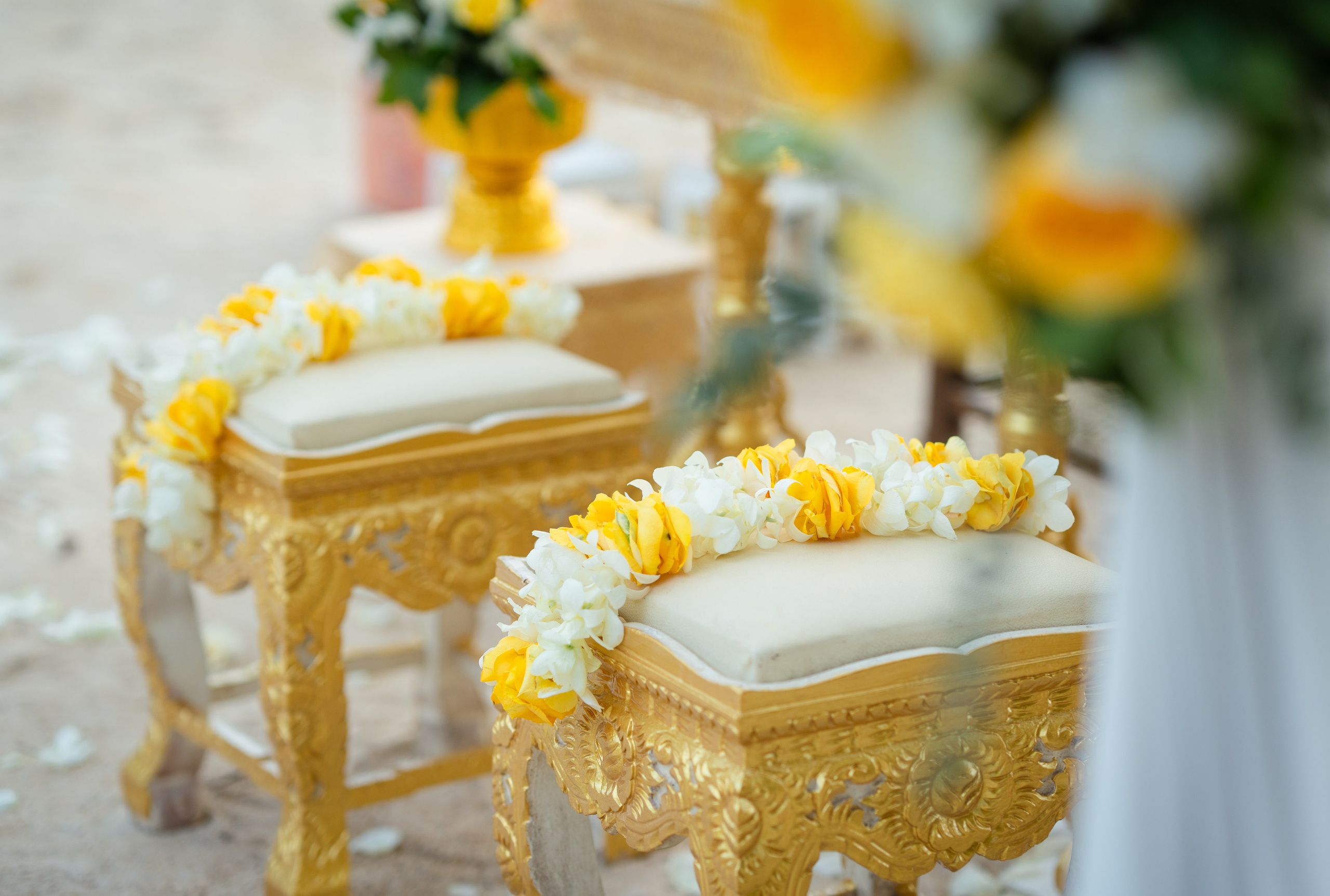 Wedding planner Magic Day Co
