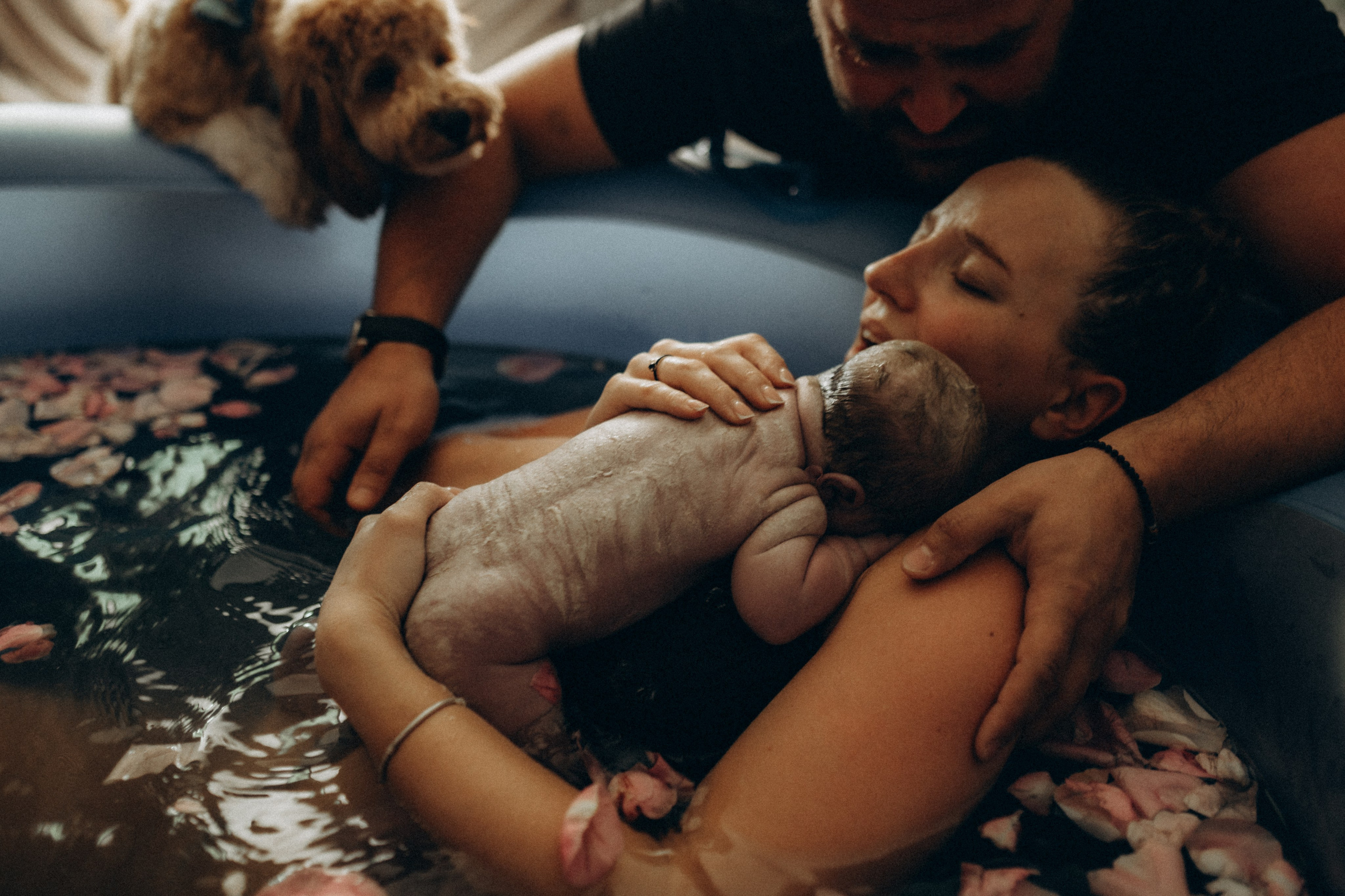 SOBRE MIM. Fotografa documental de familia e nascimento em Florianópolis SC Daria Ermolaev