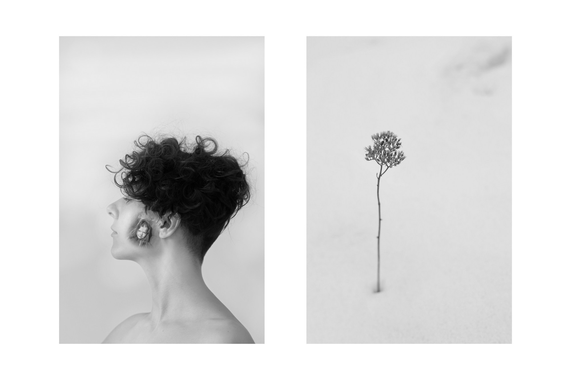 Siguen caminando dentro de mi corazón. Alicia: fotografía artística y escritura creativa en Asturias