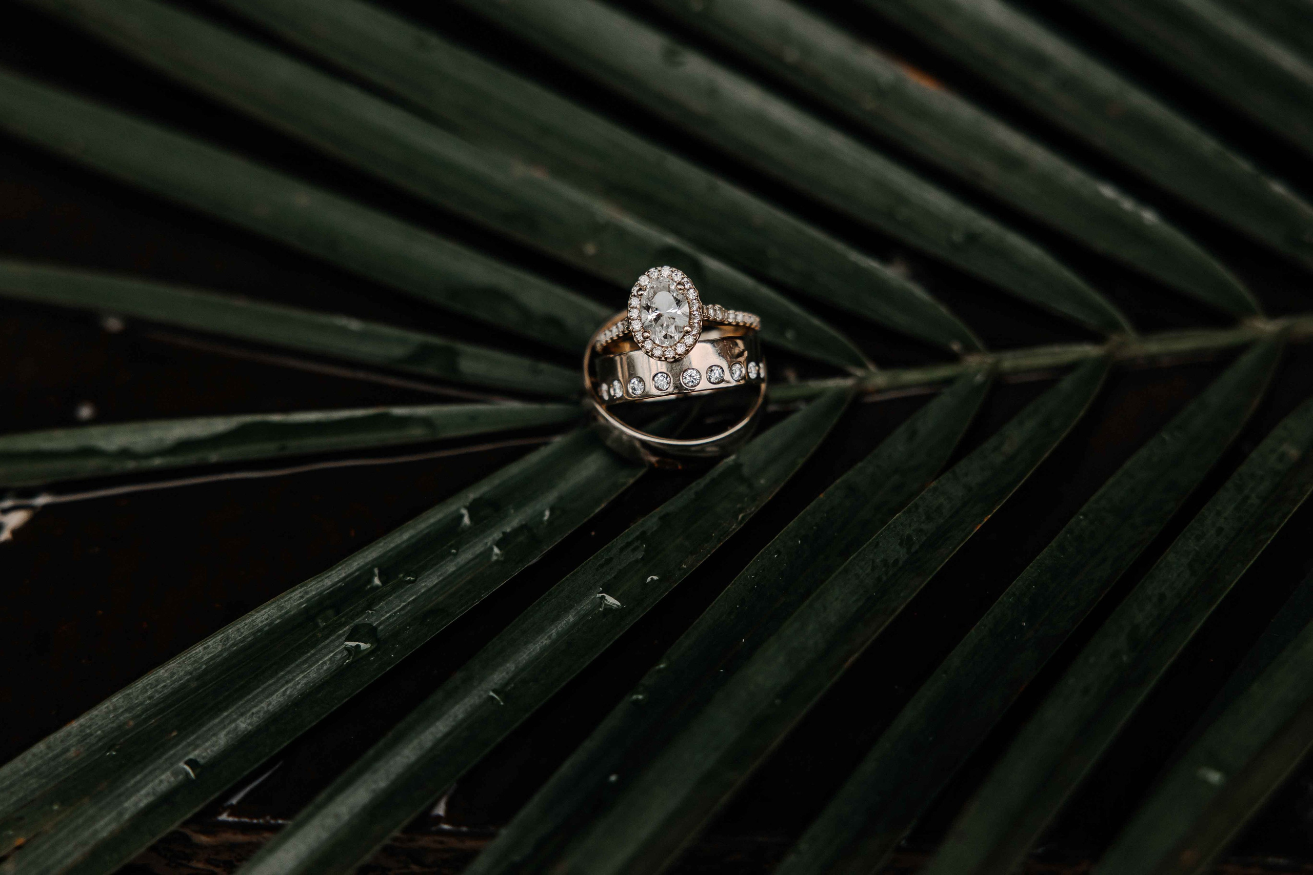 Wedding Photographer in Winnipeg — Cinematic & Timeless by Vitiuk Photography