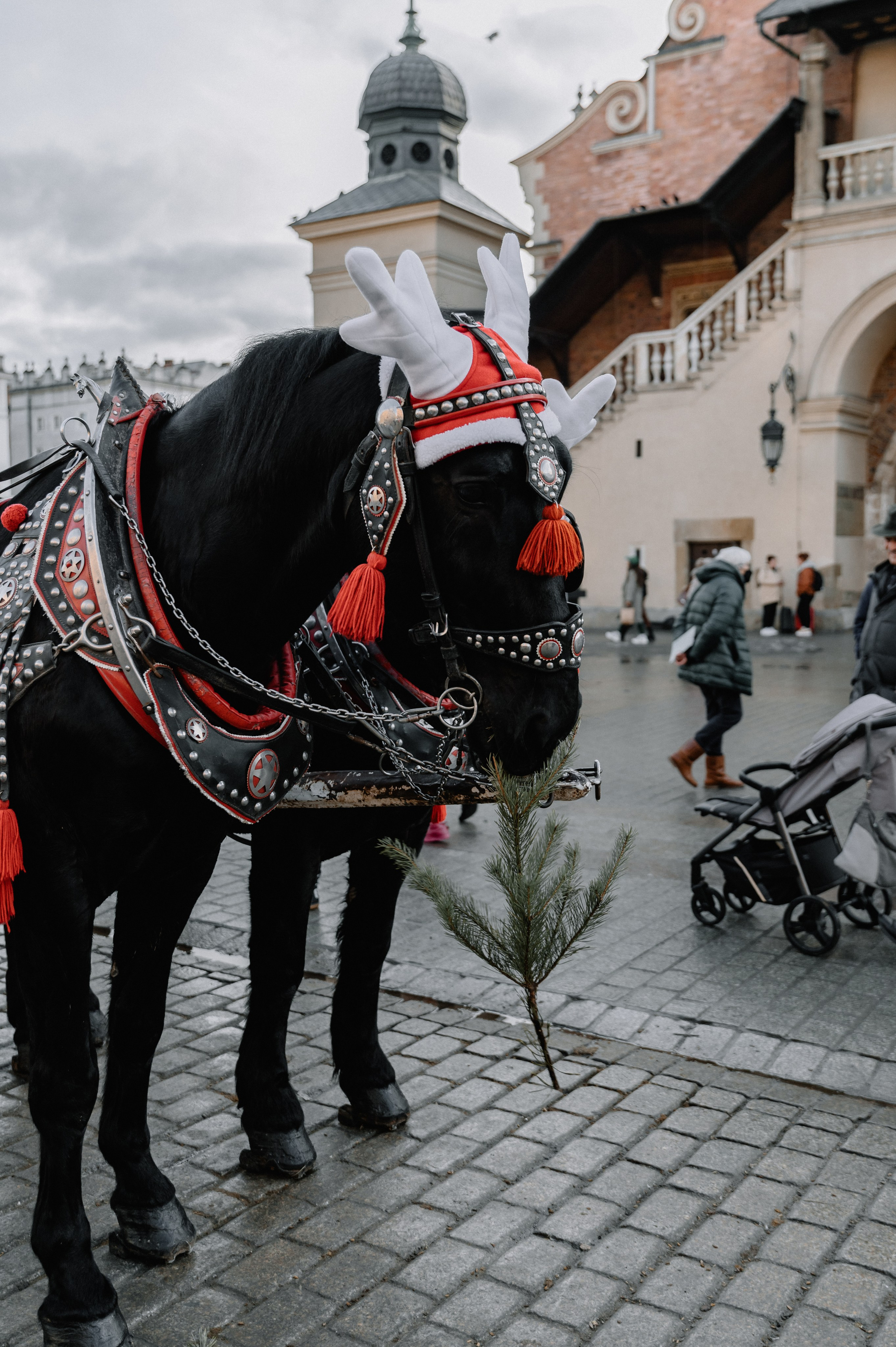 Christmas Photo Day. Photographer and Blogger Europe/Asia Nika Stoma