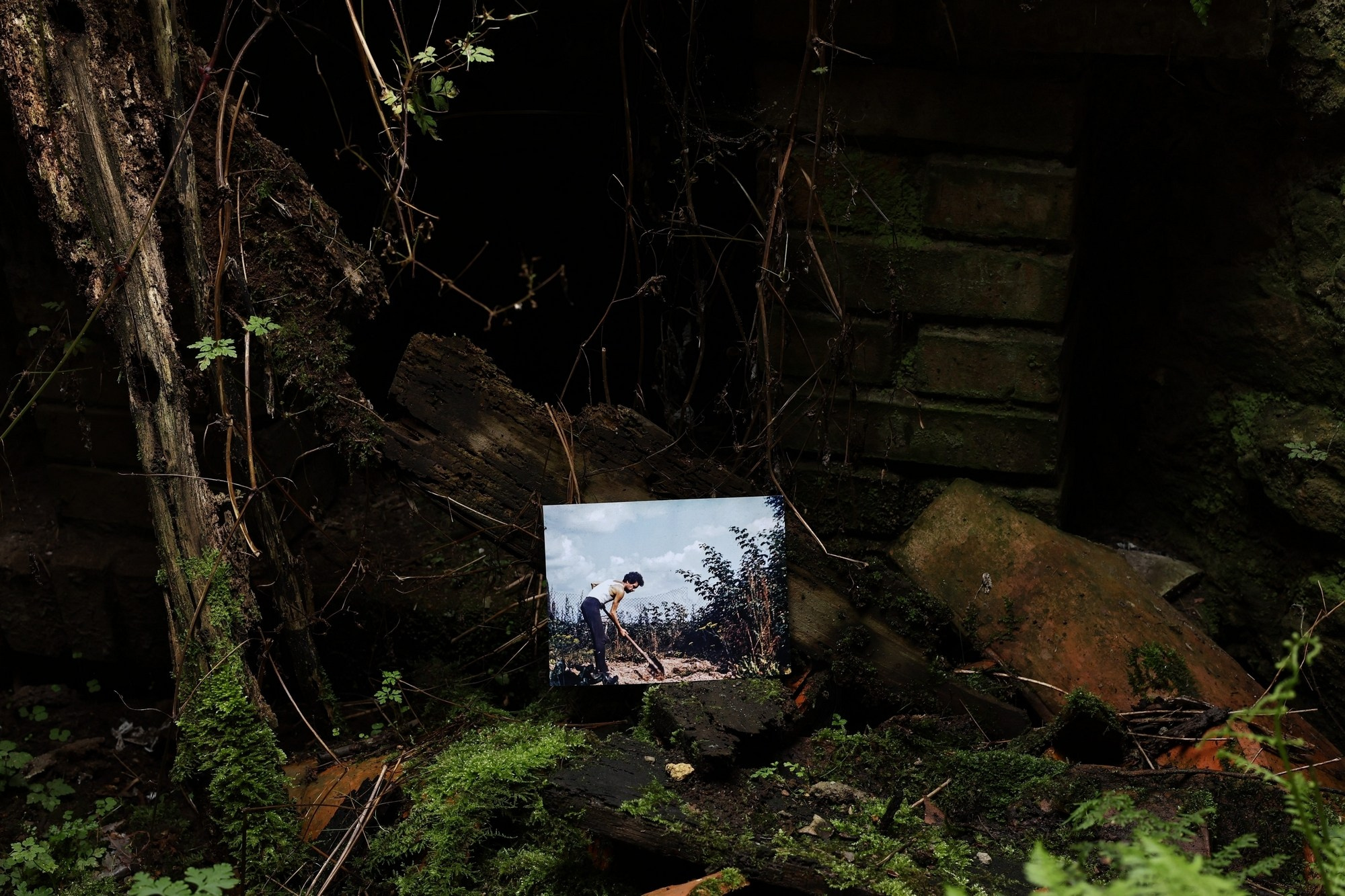 Siguen caminando dentro de mi corazón. Alicia: fotografía artística y escritura creativa en Asturias