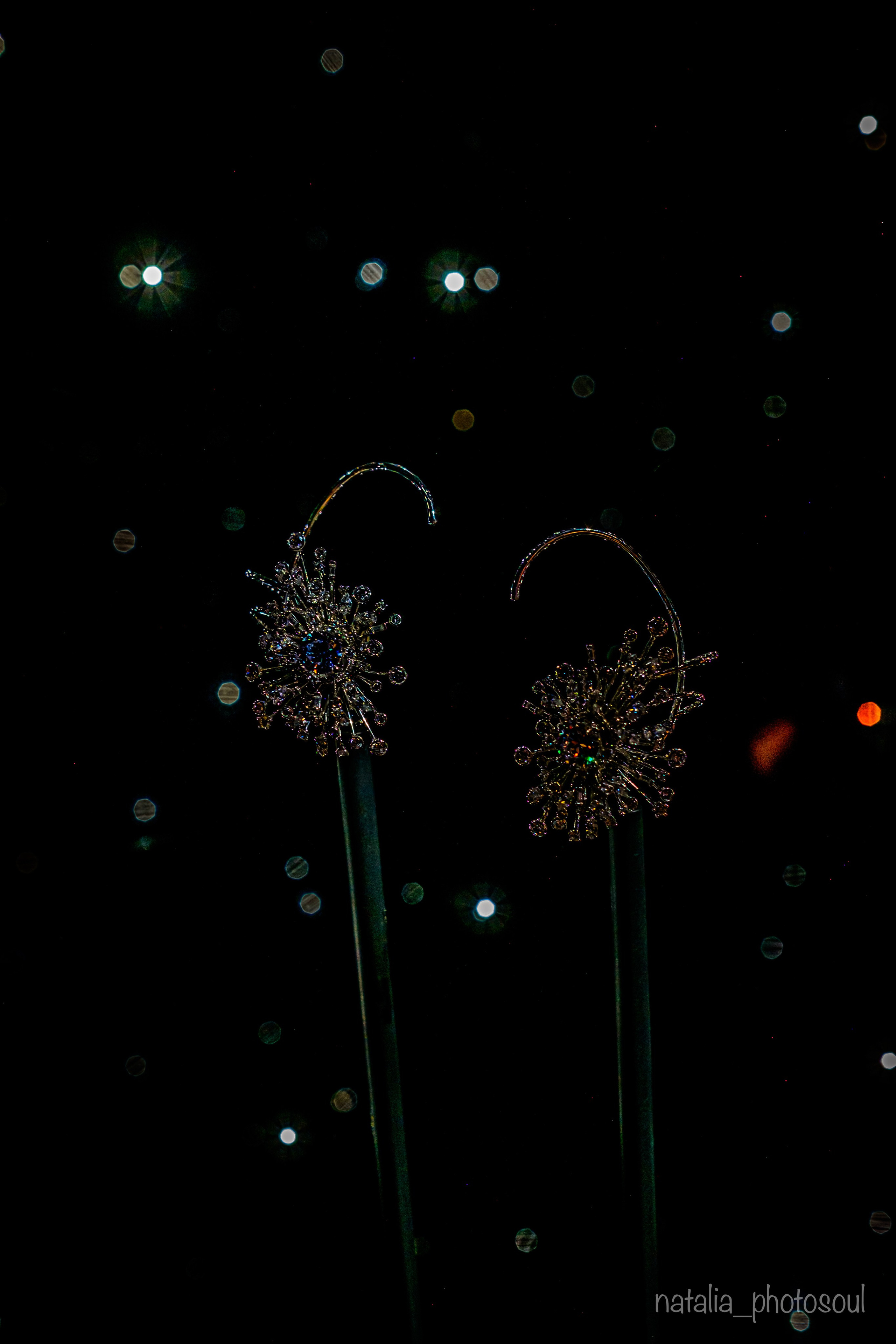 SWAROVSKI MASTERS OF LIGHT FROM VIENNA TO SEOUL. Photographer in Seoul Dobrokvashina Natalya