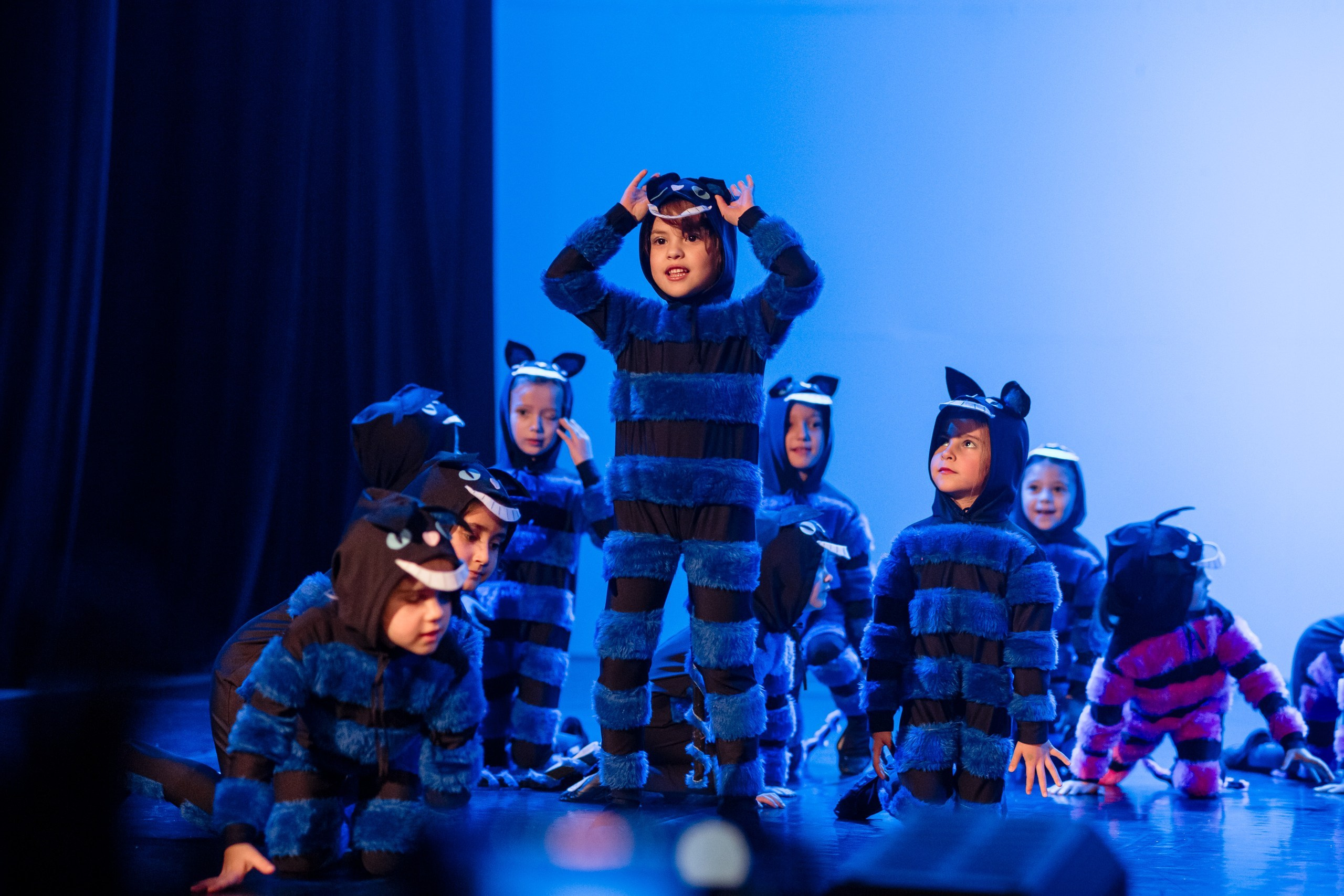 Fotografia de Espetáculo Teatral Alice no País das Maravilhas do grupo de dança Recriarte