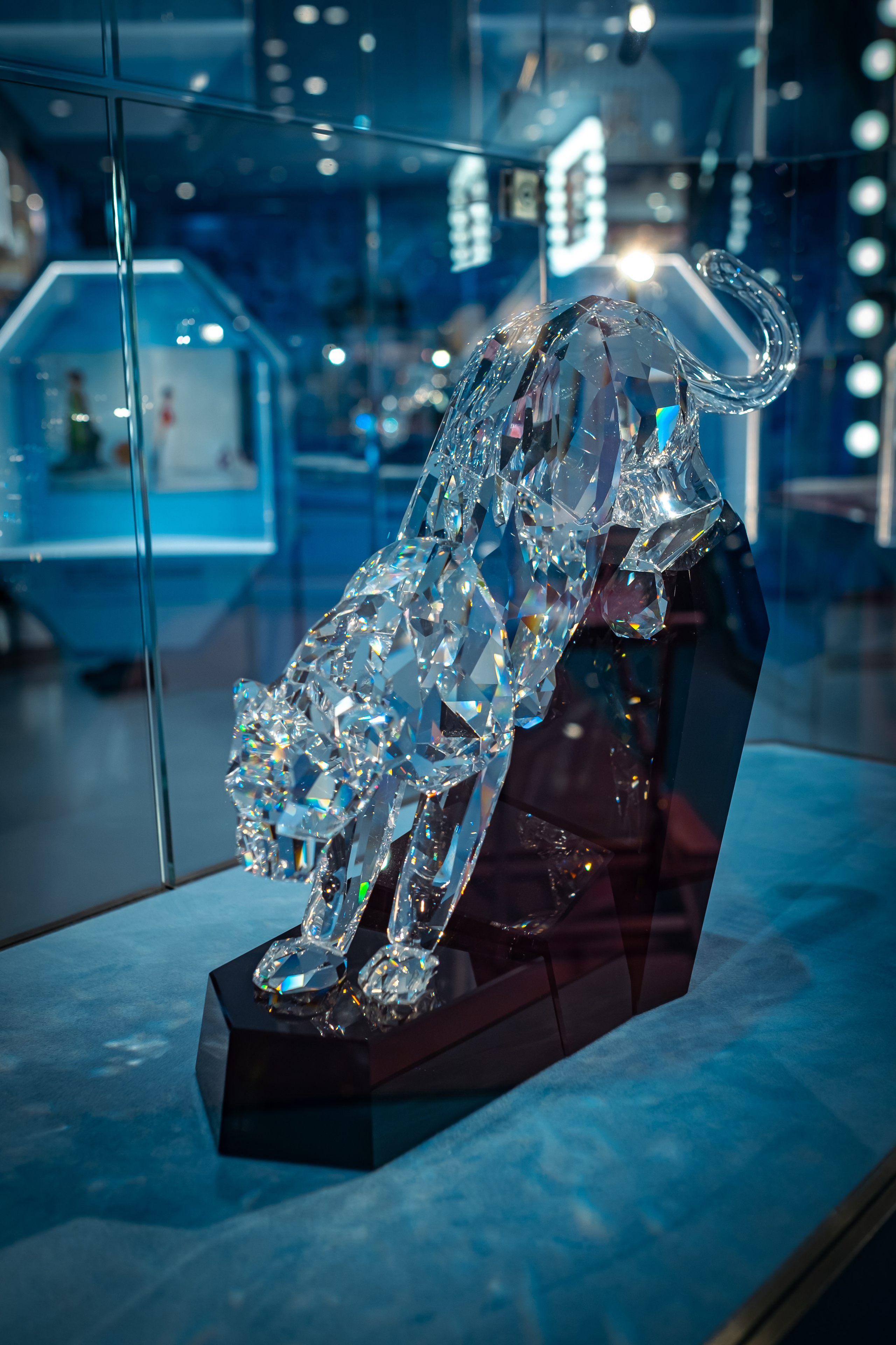 SWAROVSKI. Фотограф в Сеуле, Южная Корея Наталья Доброквашина