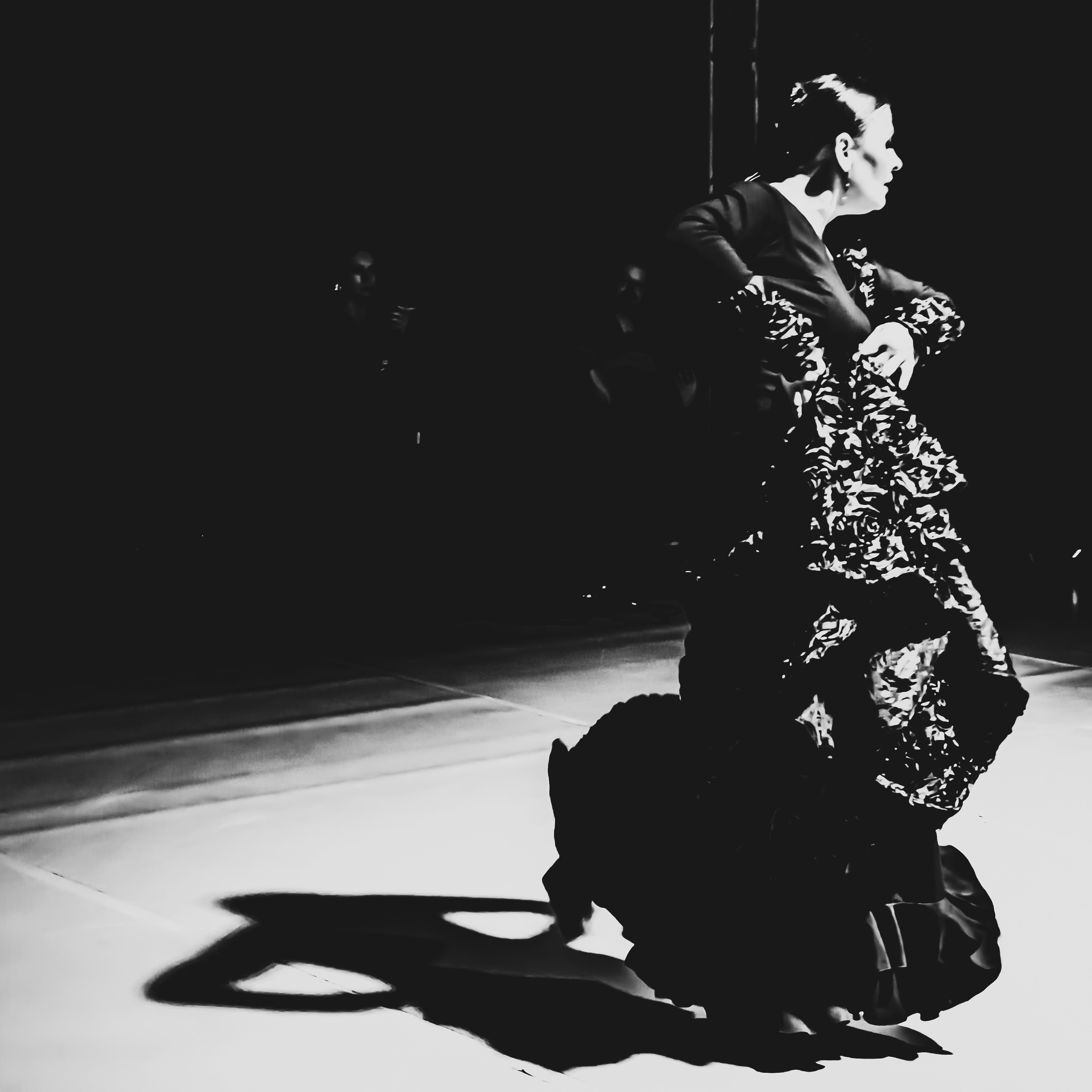 Flamenco rhythm. Dedicated to Olga Samoylova and the art of flamenco in general. Ekaterina Tsurkina-Appina Photography Canada