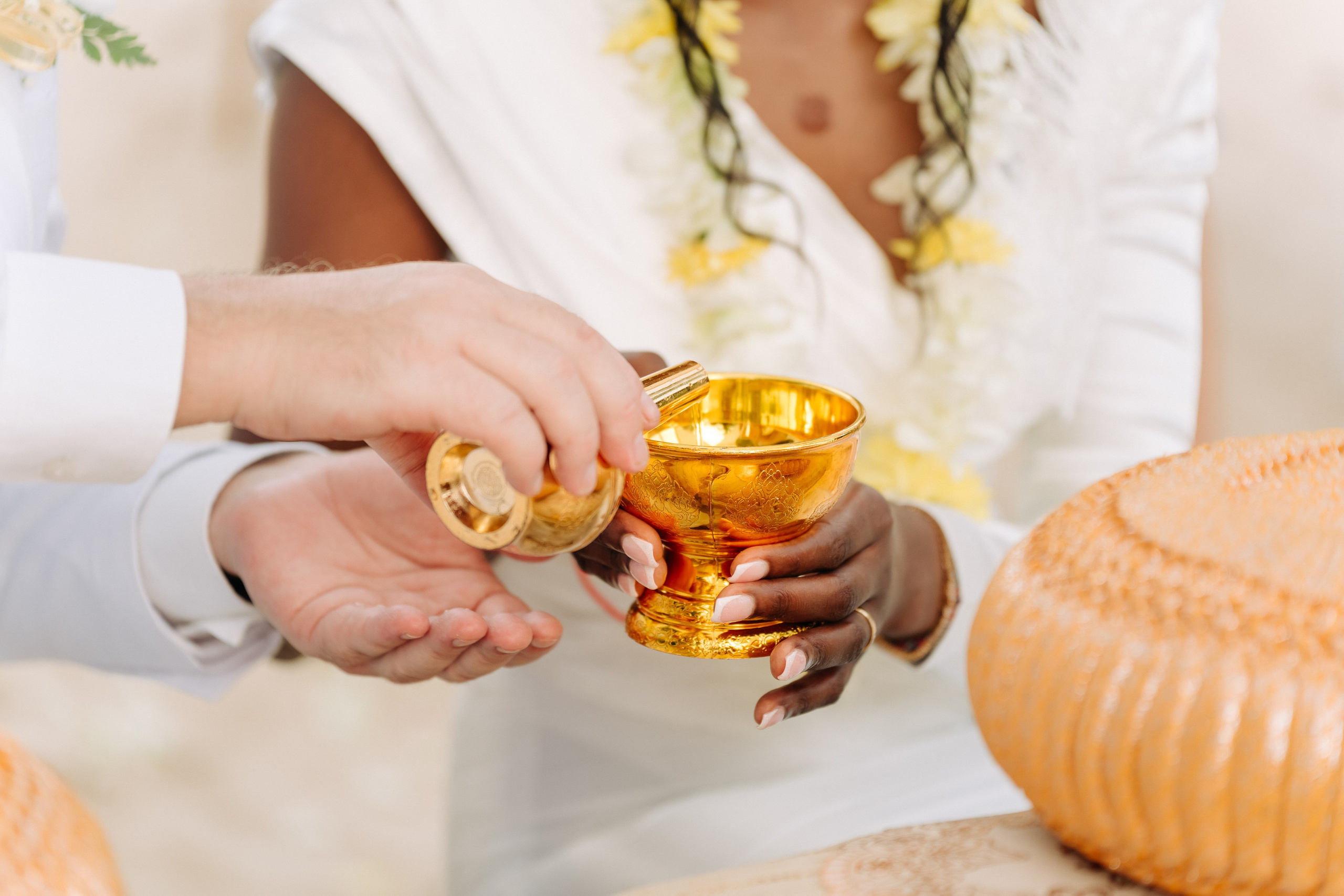 Wedding planner Magic Day Co