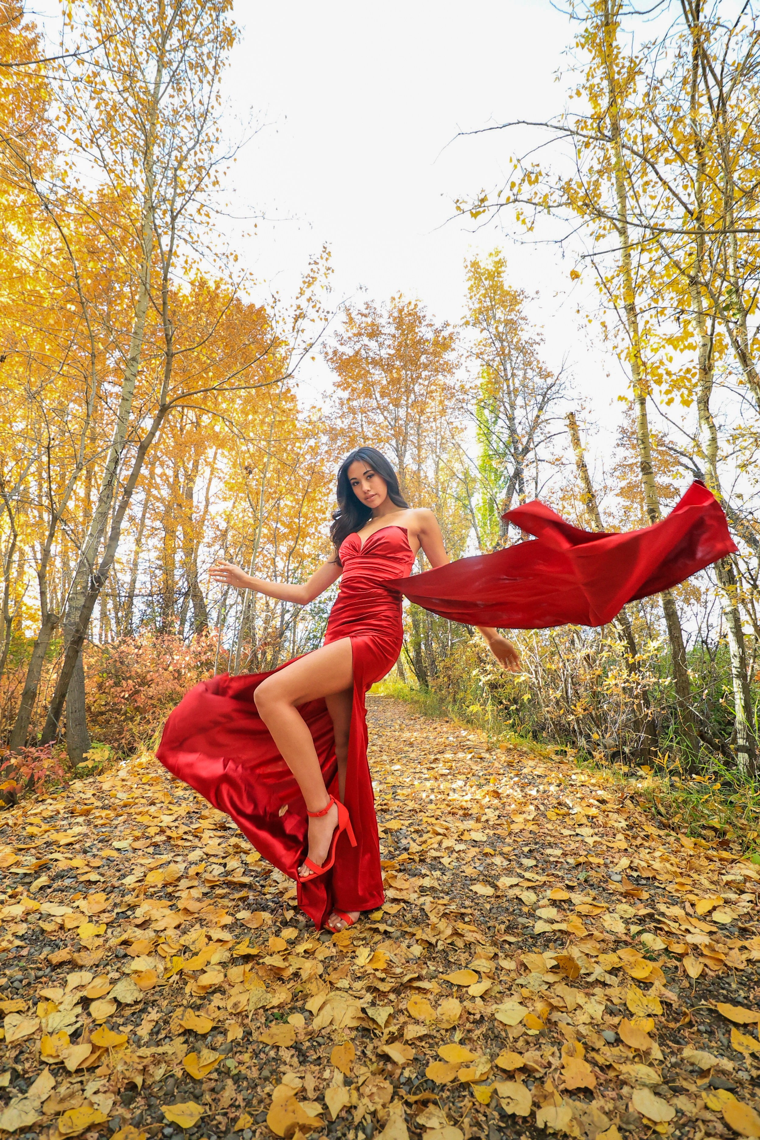 Autumn Elegance: Sidney Jean Victoria in a Red Dress. ProFly Media Inc. — Cinematic photo and video production for brands, businesses, and spaces in Calgary