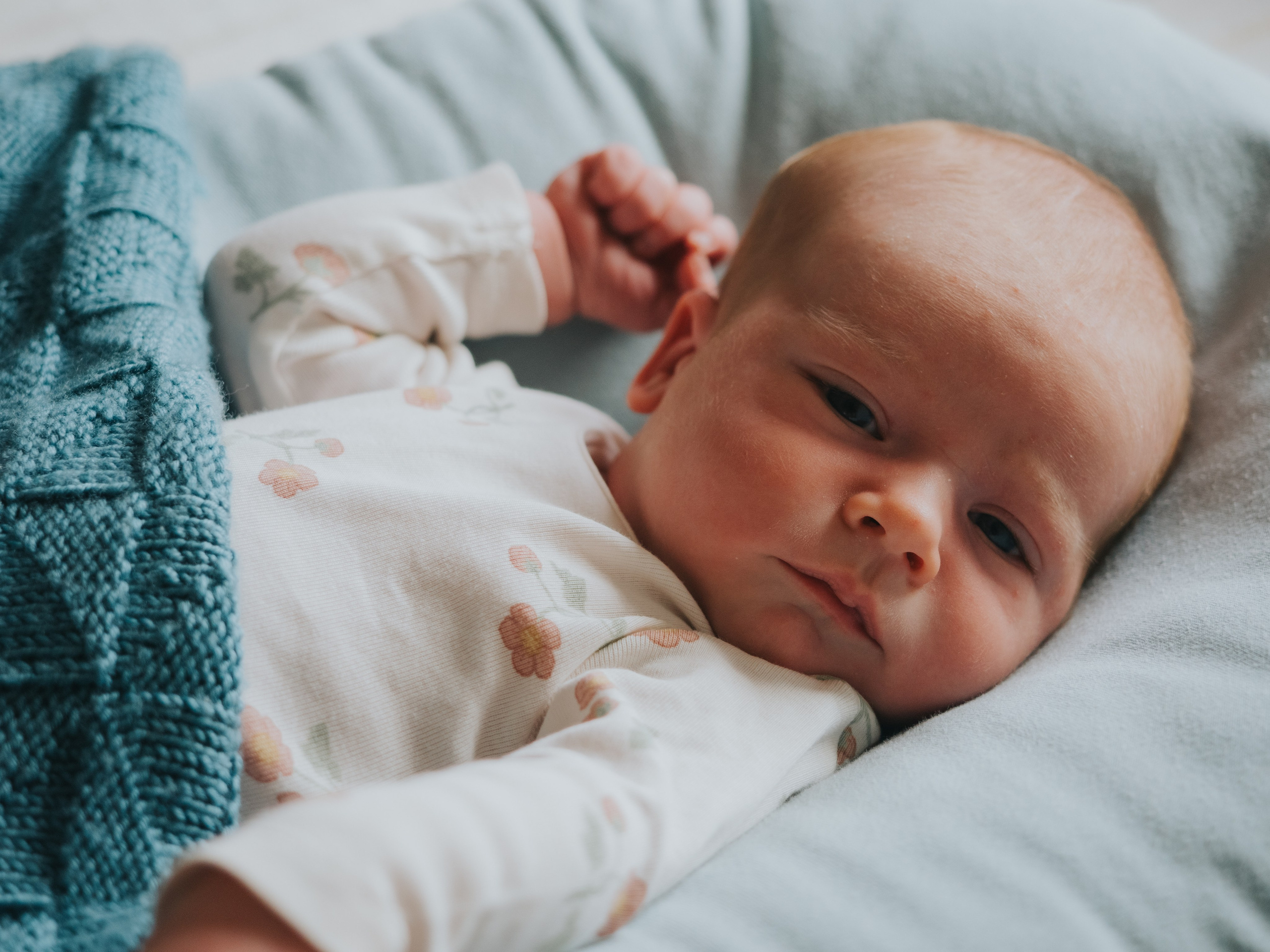 Newborn. Mimosa Studios — Motherhood, Portrait & Family Photographer in Montreal