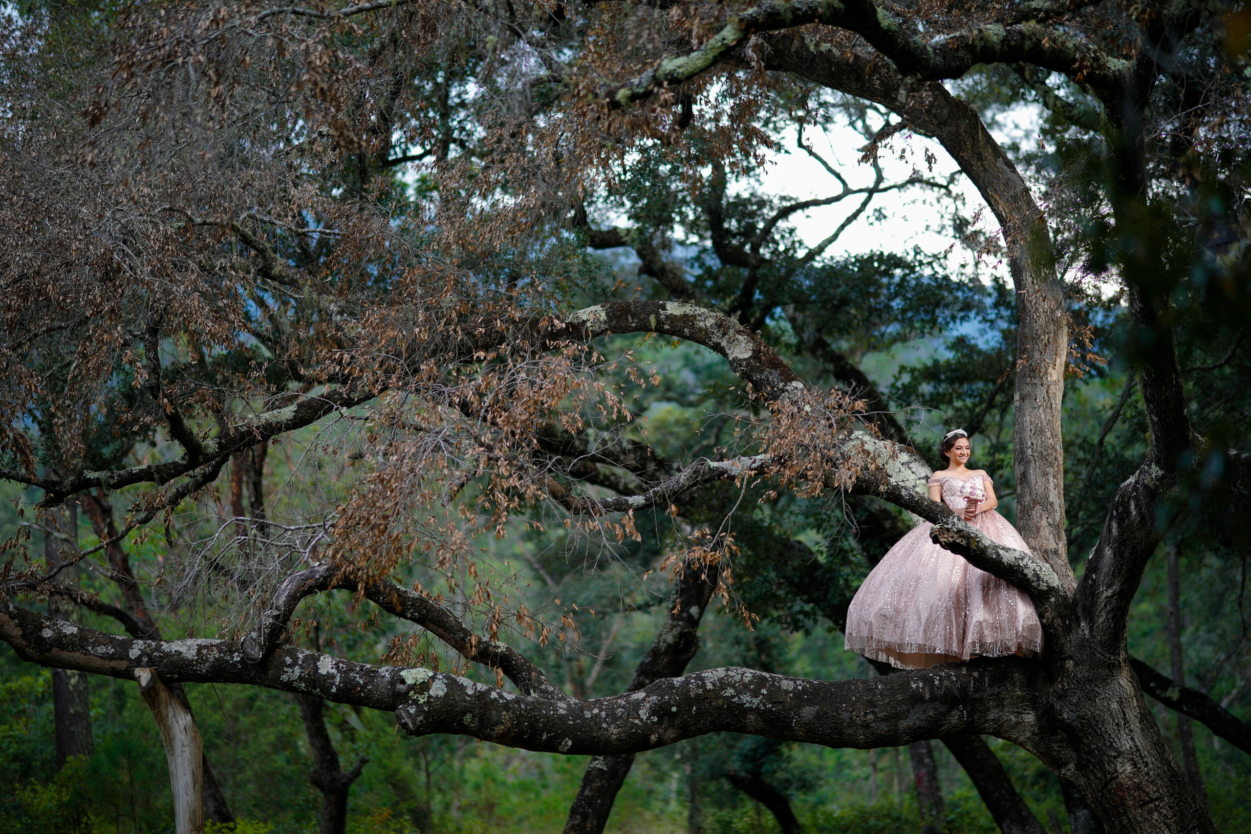 XV años de Sara Julieta. FOTOGRAFO Galerías XV Años