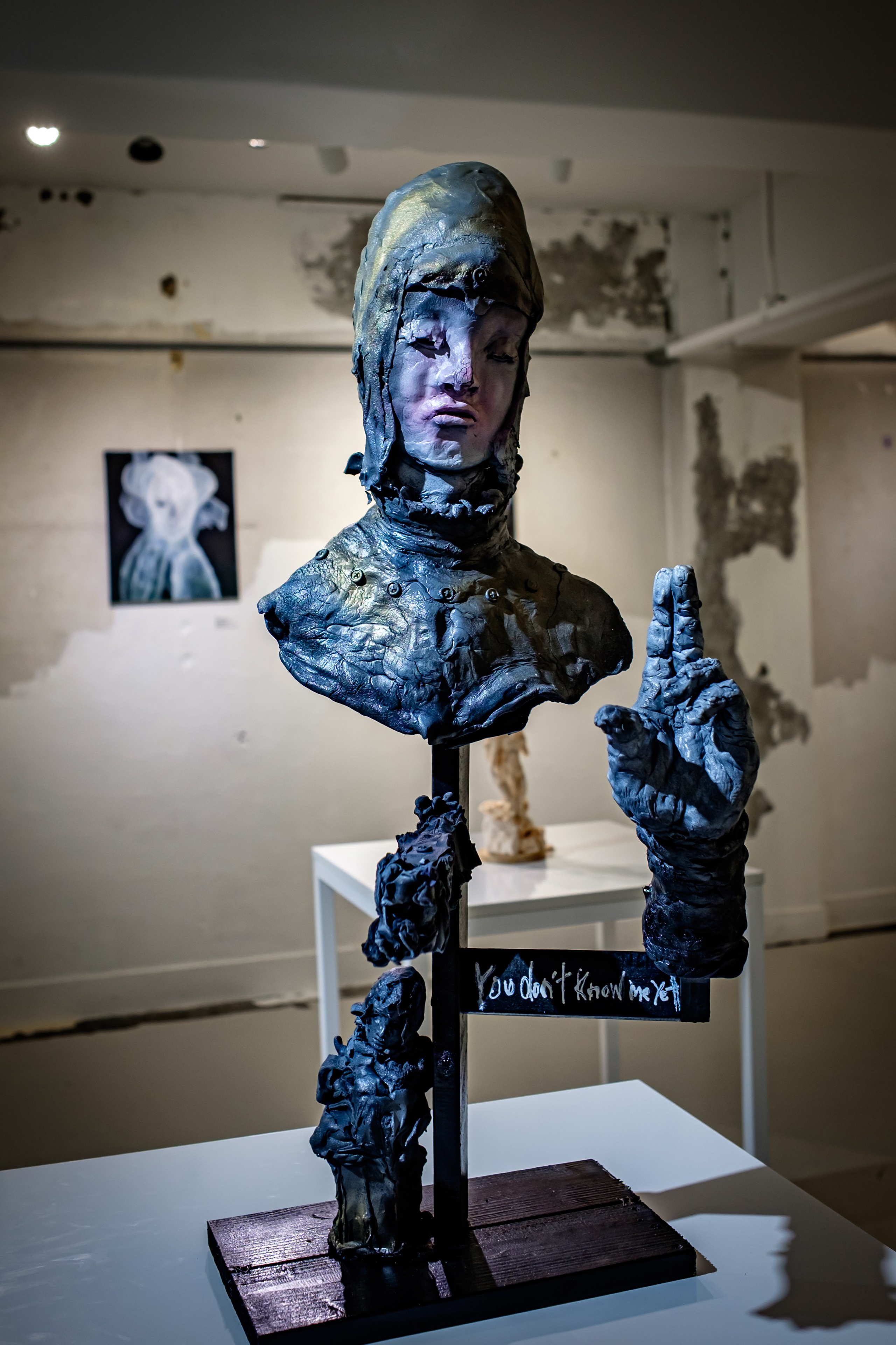 SHOHEI SOZO 1st EXHIBITION. Photographer in Seoul Dobrokvashina Natalya