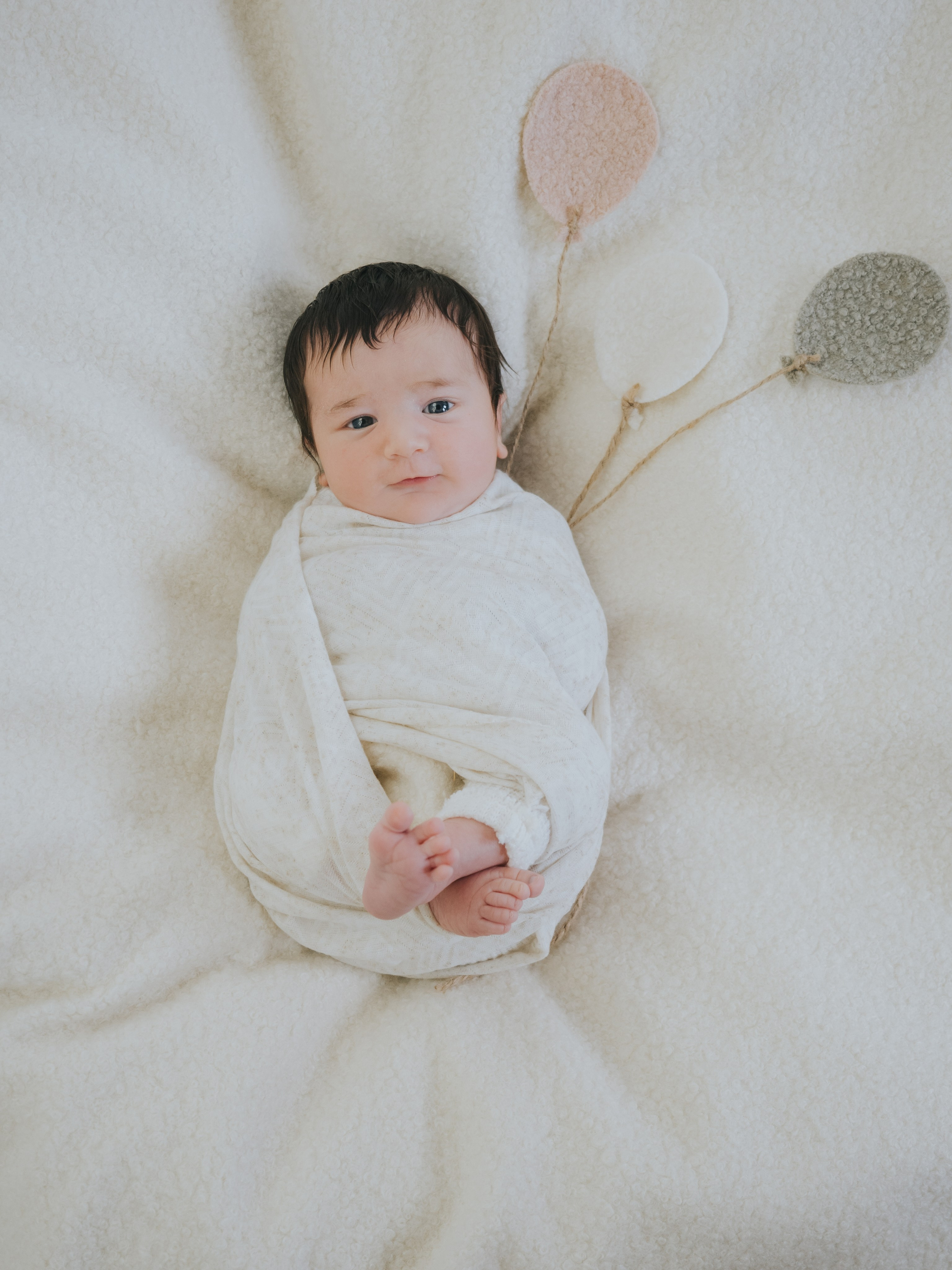 Newborn. Mimosa Studios — Motherhood, Portrait & Family Photographer in Montreal