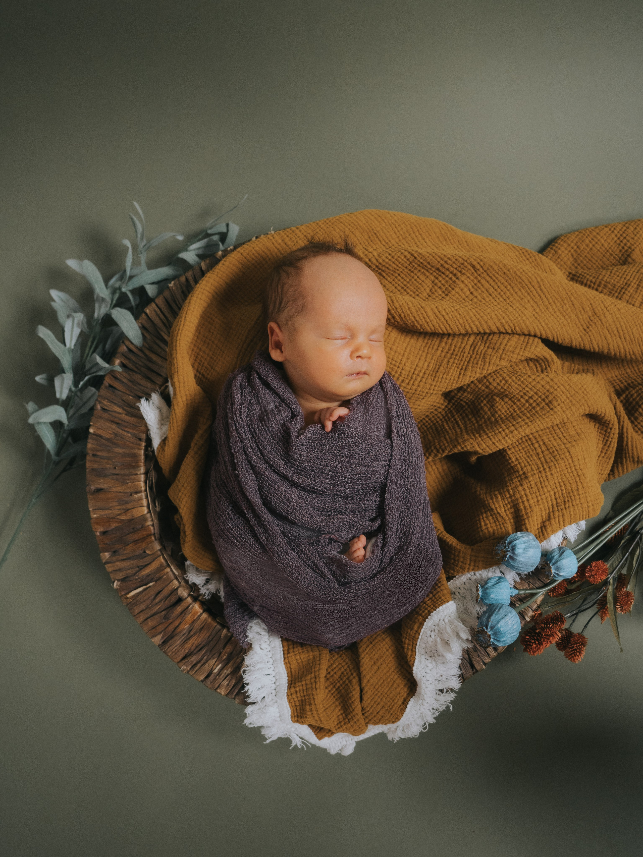 Mimosa Studios — Motherhood, Portrait & Family Photographer in Montreal