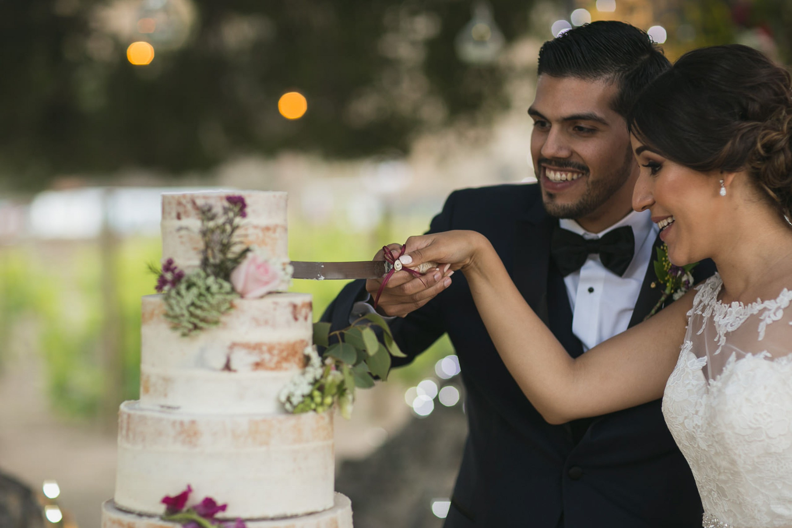Valle de Guadalupe Boda Ilieana y Antonio. Estudio de fotografia en Tijuana
