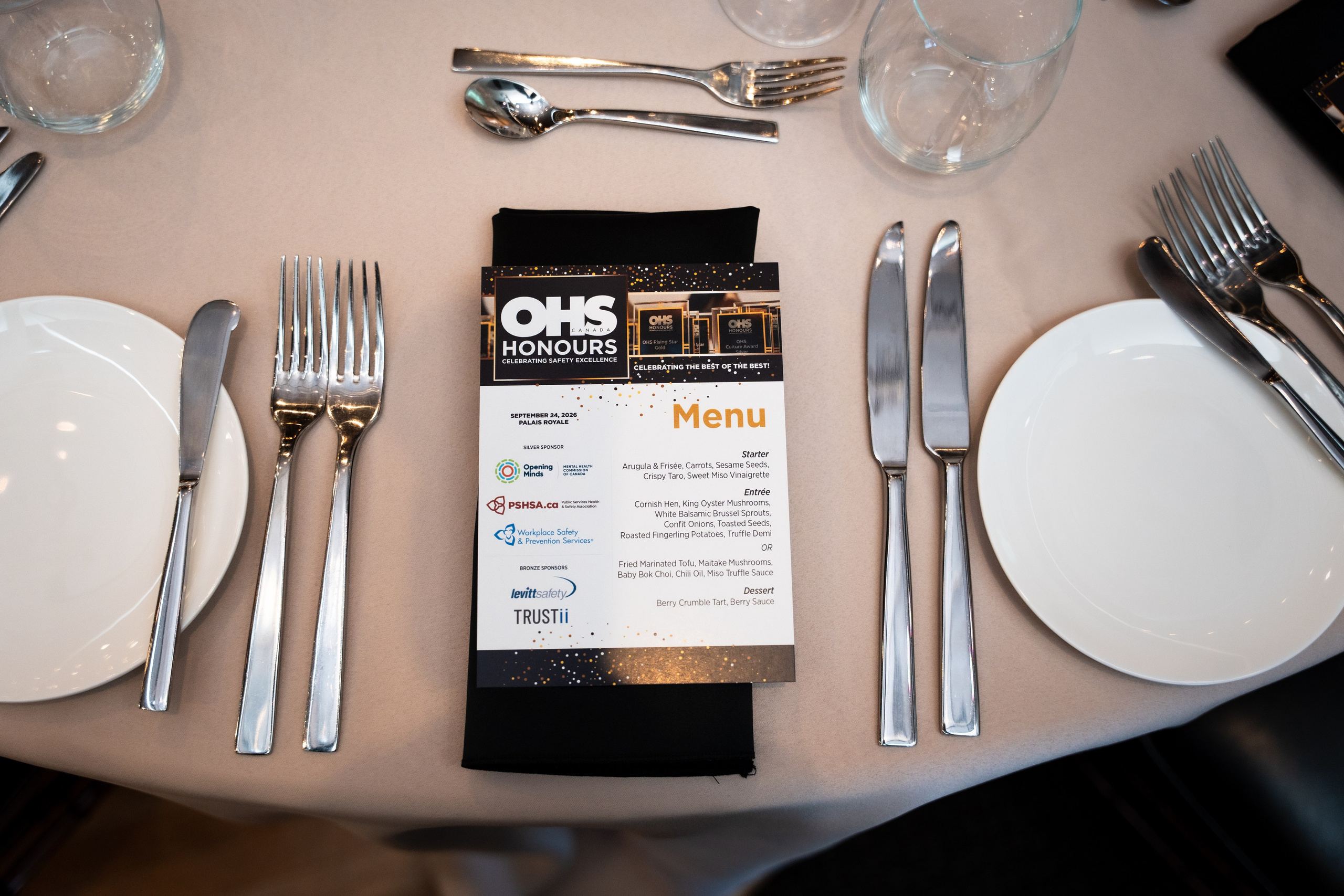 Guest enjoying the OHS Honours awards gala in Toronto