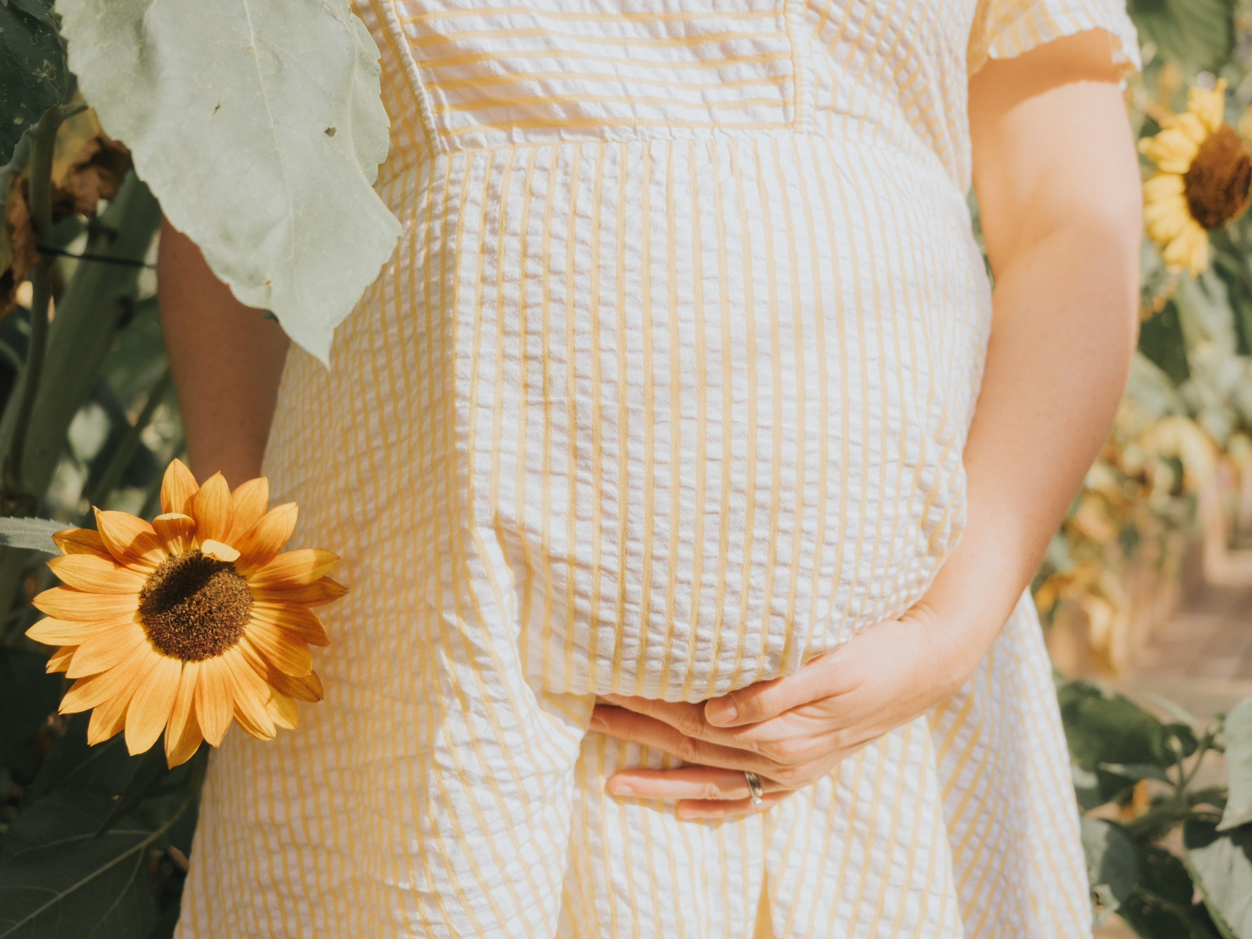 Ventre de femme enceinte entouré de tournesols.