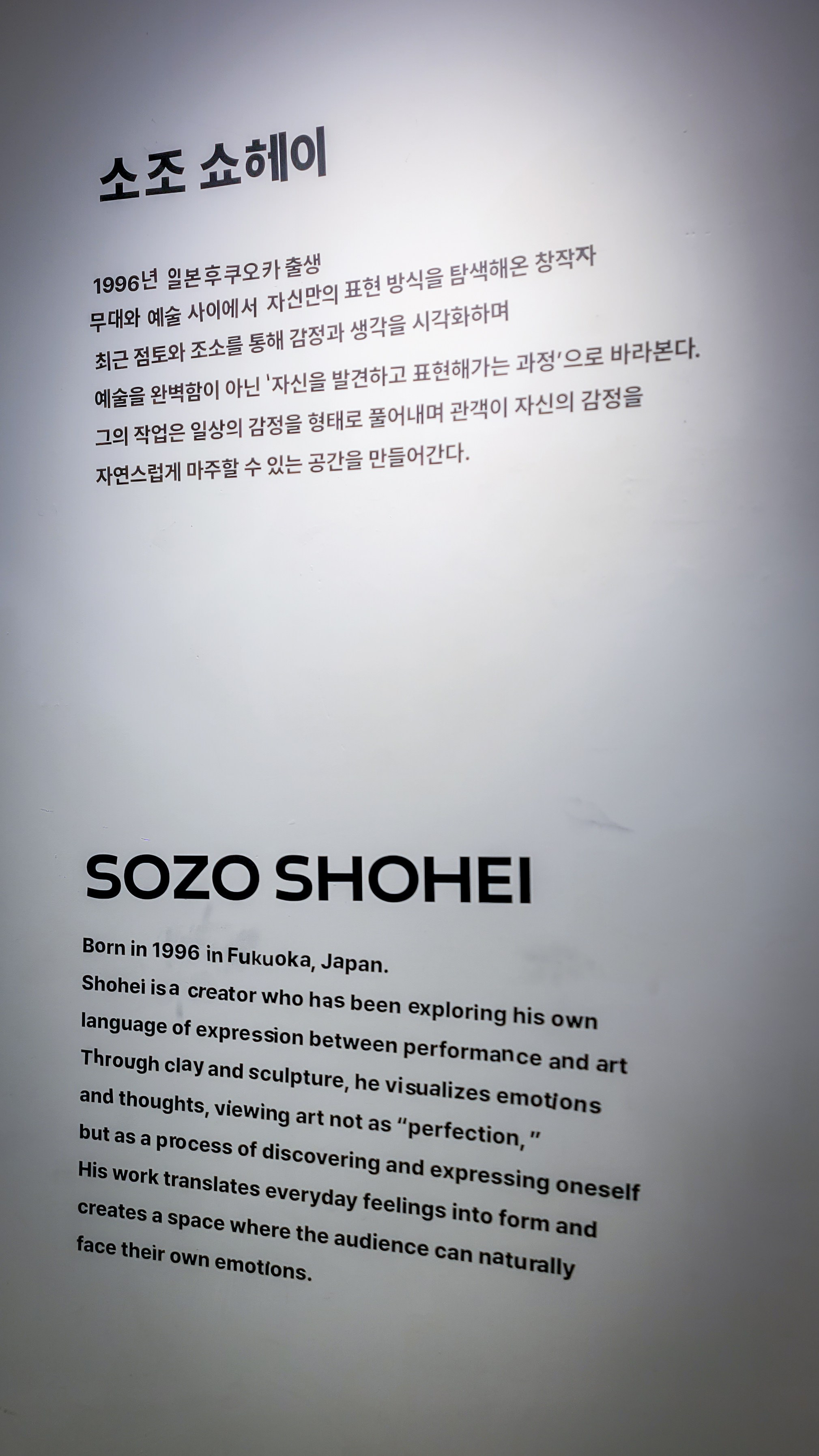 SHOHEI SOZO 1st EXHIBITION. Photographer in Seoul Dobrokvashina Natalya
