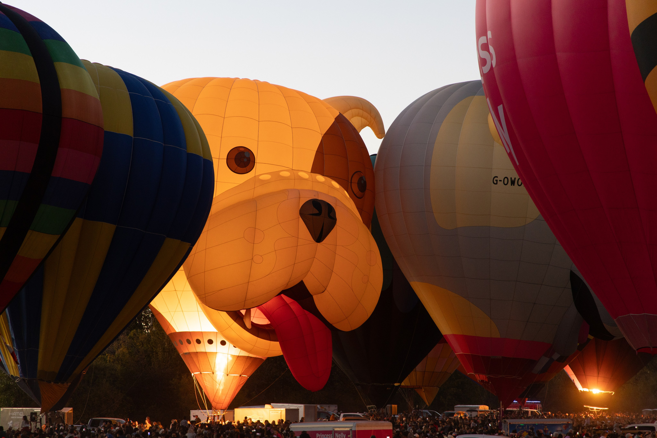 High River Balloon Festival Lights Up the Sky. ProFly Media Inc. — Cinematic photo and video production for brands, businesses, and spaces in Calgary