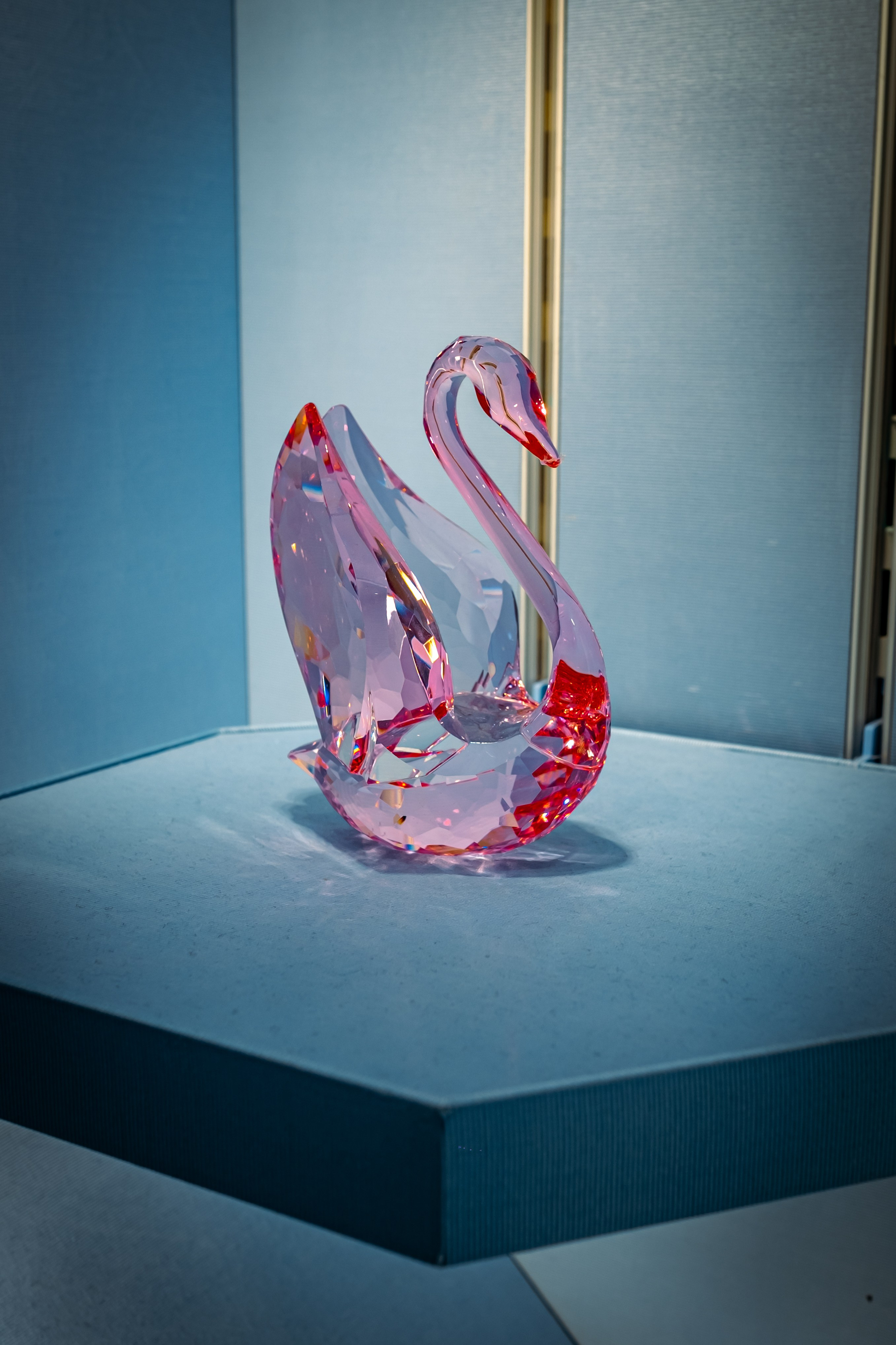 SWAROVSKI. Фотограф в Сеуле, Южная Корея Наталья Доброквашина