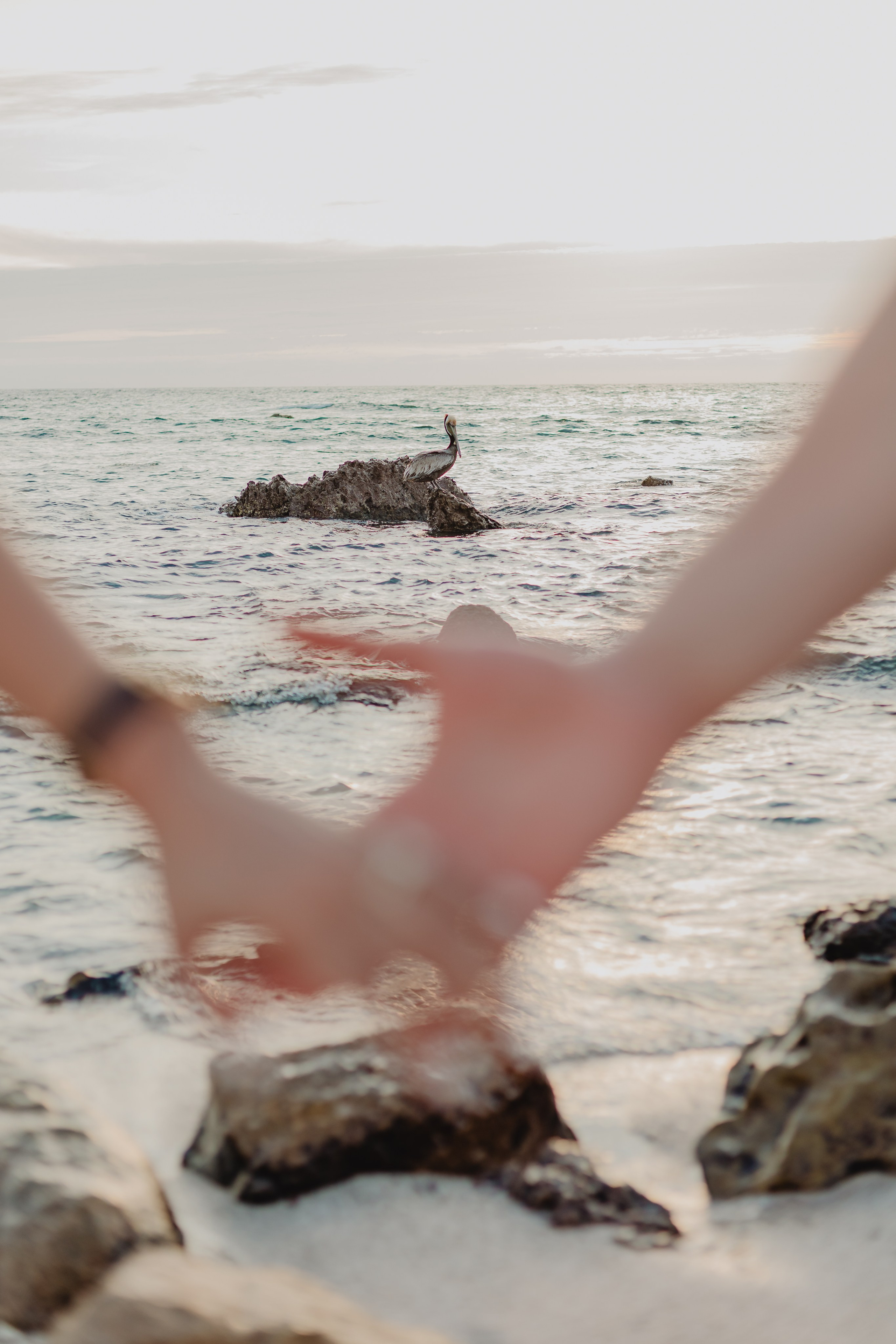 Destination Wedding Photographer in Puerto Vallarta & Riviera Nayarit | VL photo & film