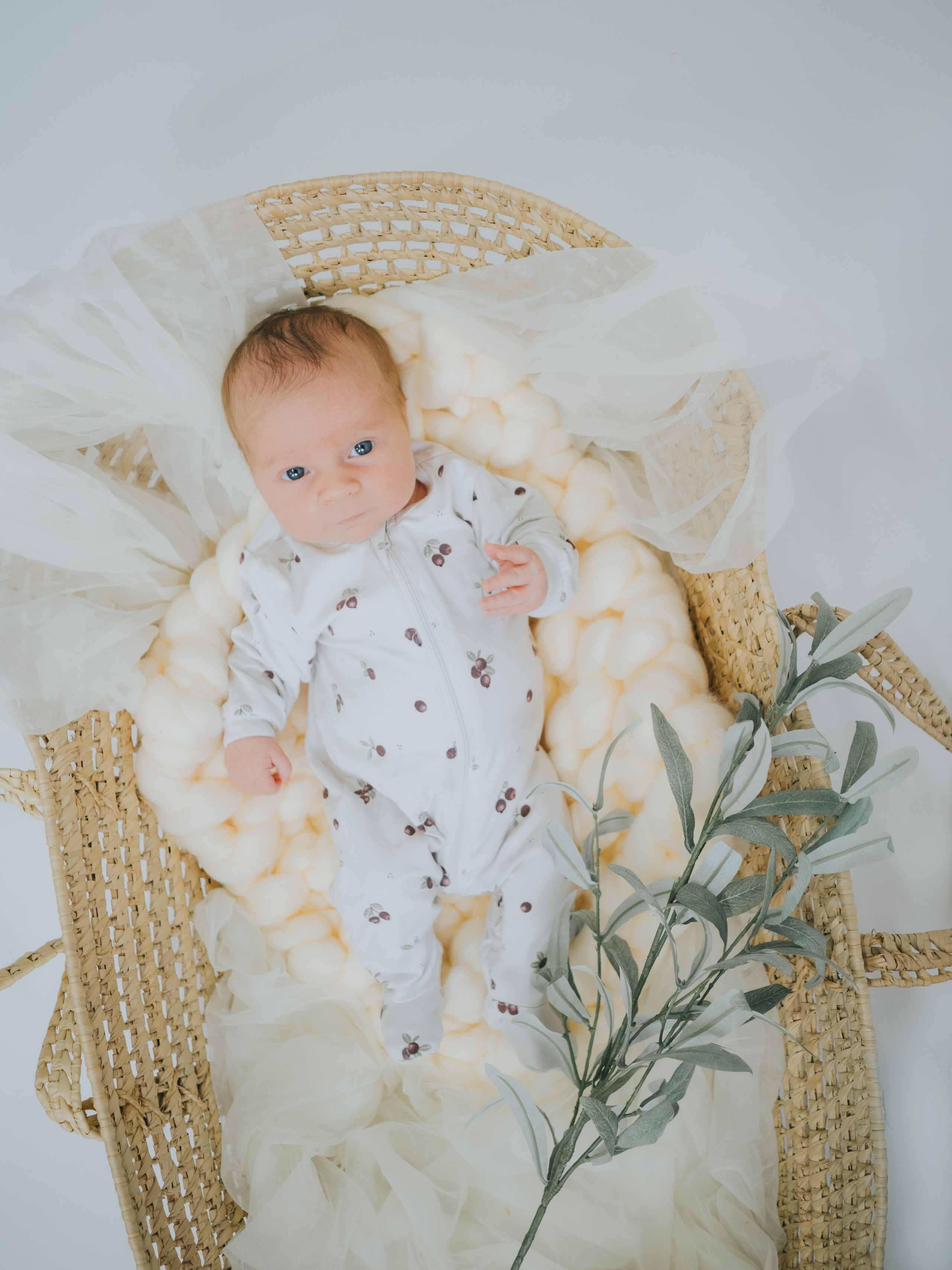 Mimosa Studios — Motherhood, Portrait & Family Photographer in Montreal