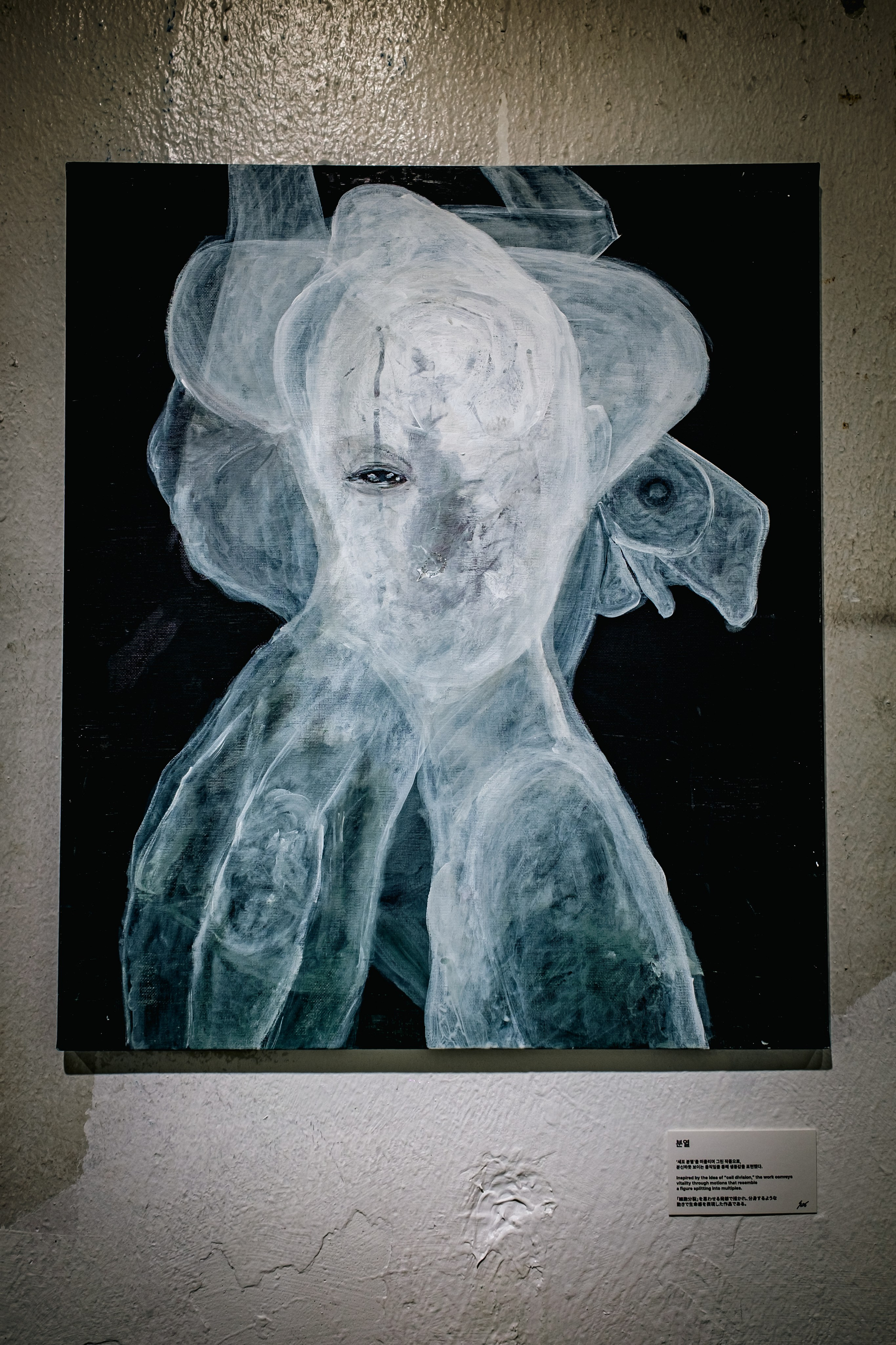 SHOHEI SOZO 1st EXHIBITION. Photographer in Seoul Dobrokvashina Natalya