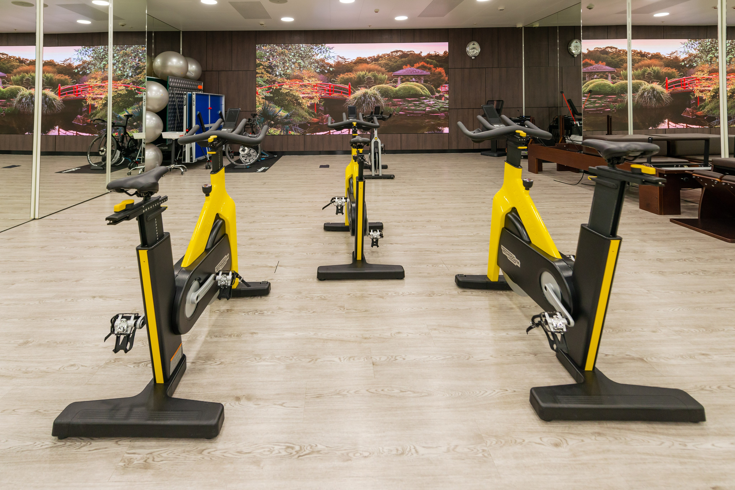 Фитнес-клуб Royal Wellness Club. PHOTOGRAPHER QUINTANA ROO