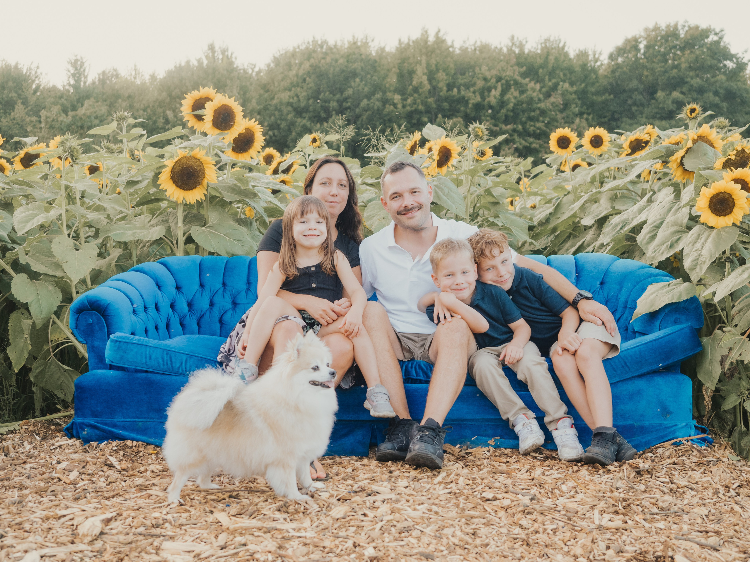 Family. Mimosa Studios — Motherhood, Portrait & Family Photographer in Montreal