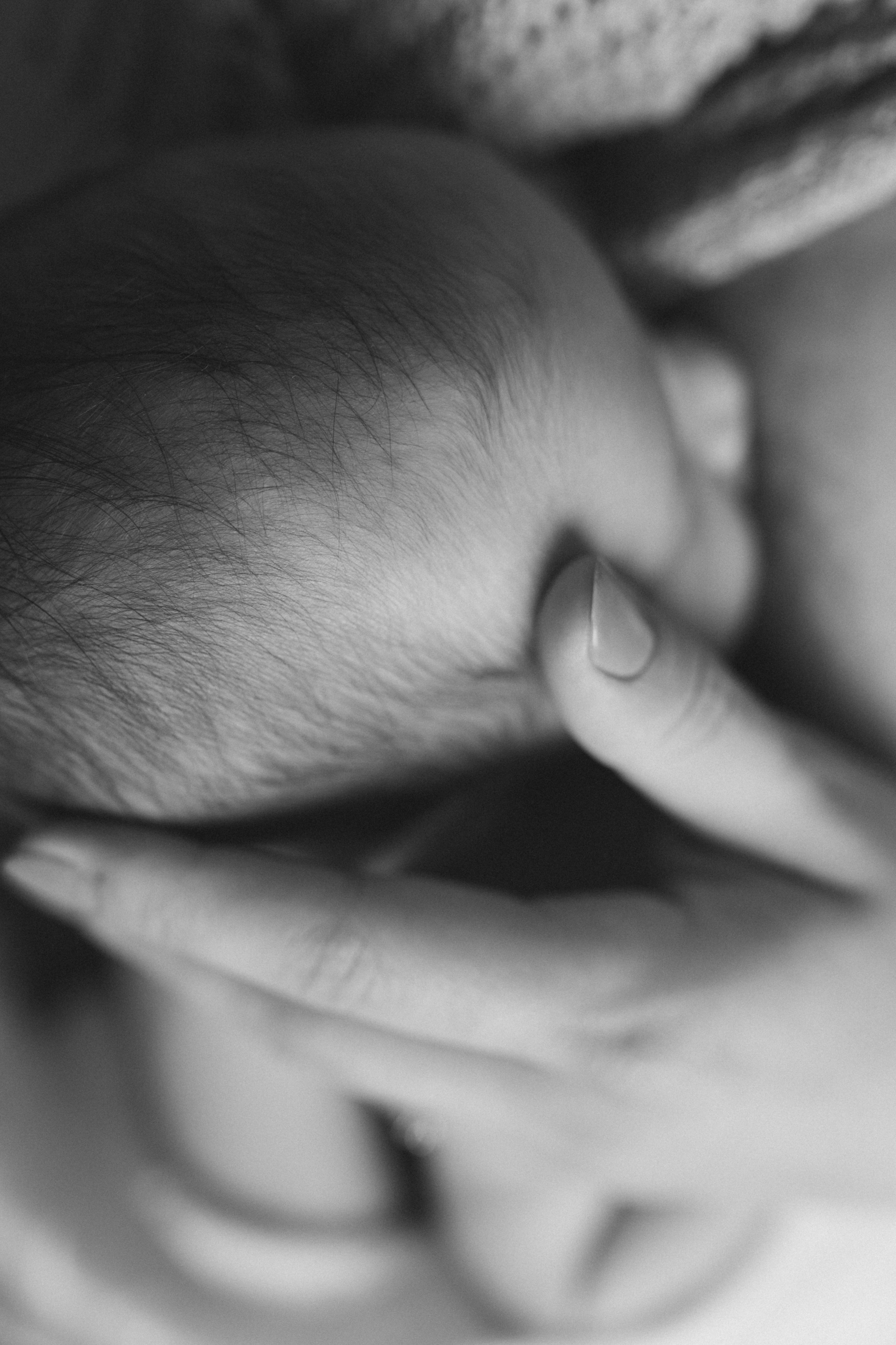 NEWBORN. Fotógrafo Marcelo Freitas