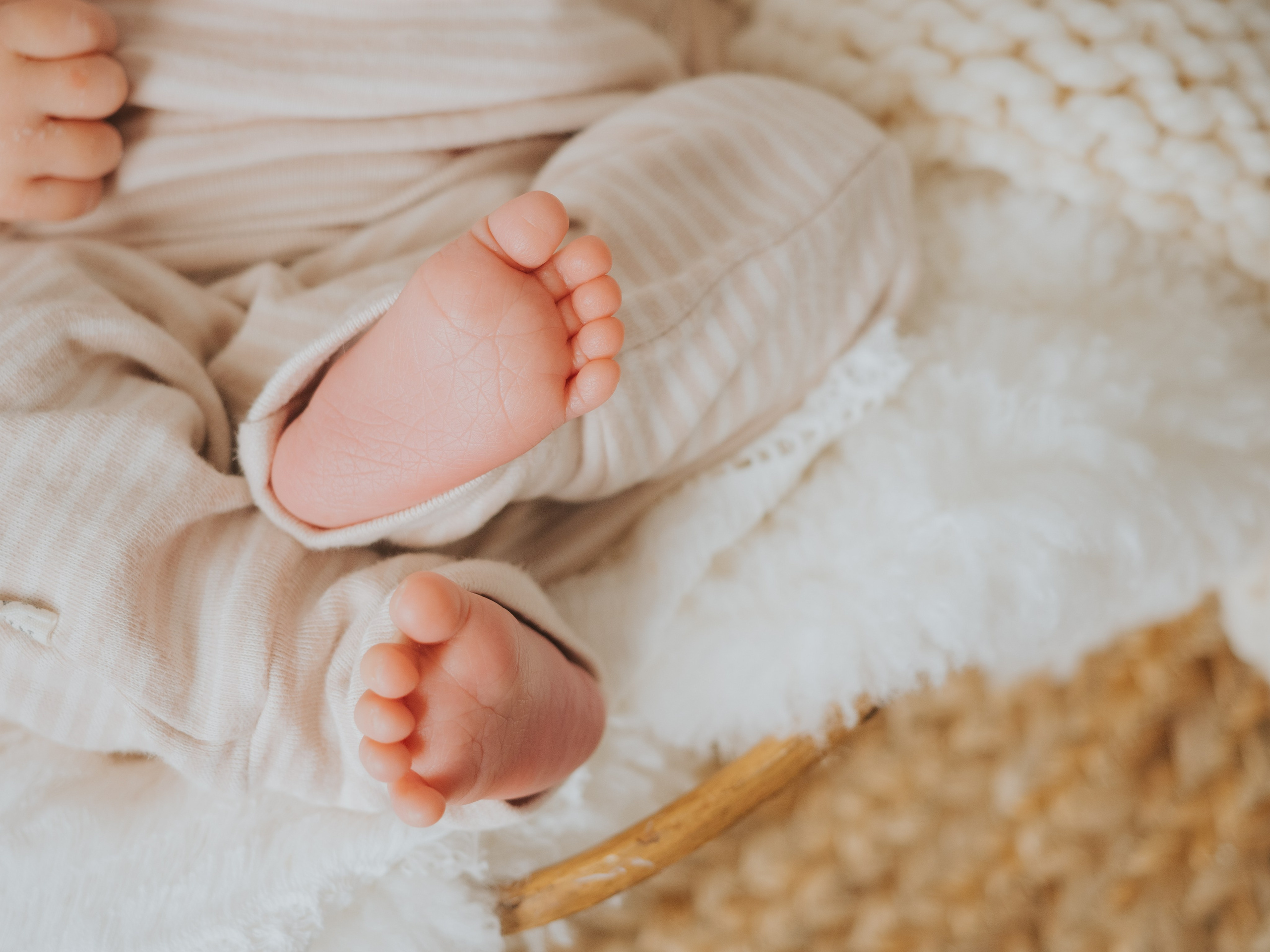 Newborn. Mimosa Studios — Motherhood, Portrait & Family Photographer in Montreal