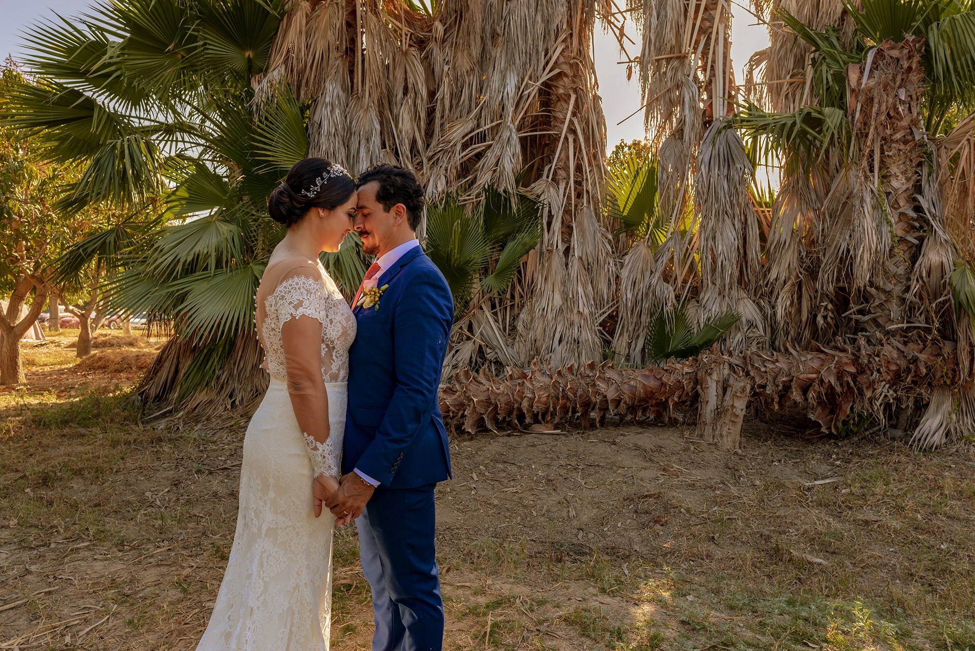 Bride and groom holding hands after ceremony in mango orchard in San José del Cabo