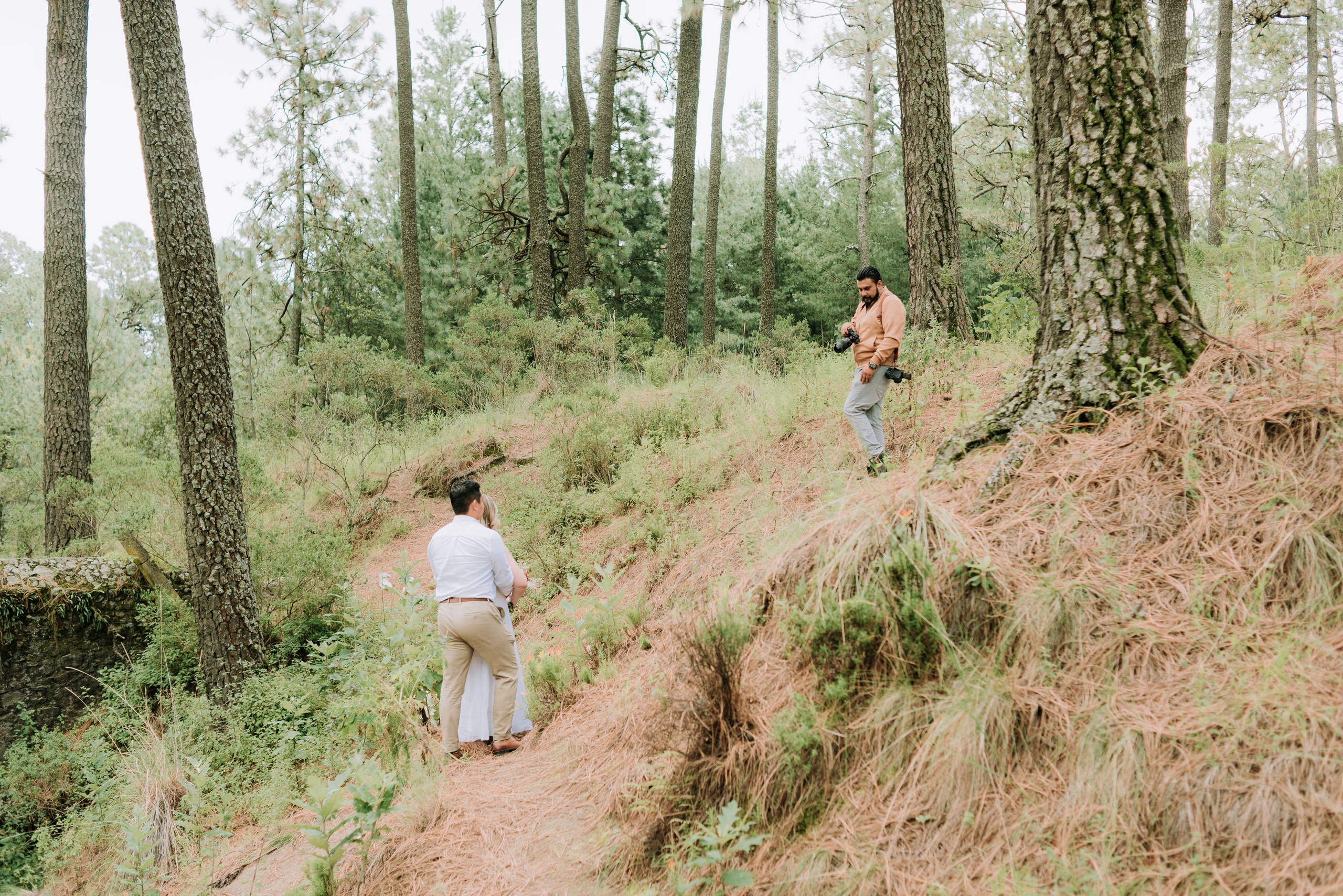 Fotografo de Bodas. Fotografo Profesional