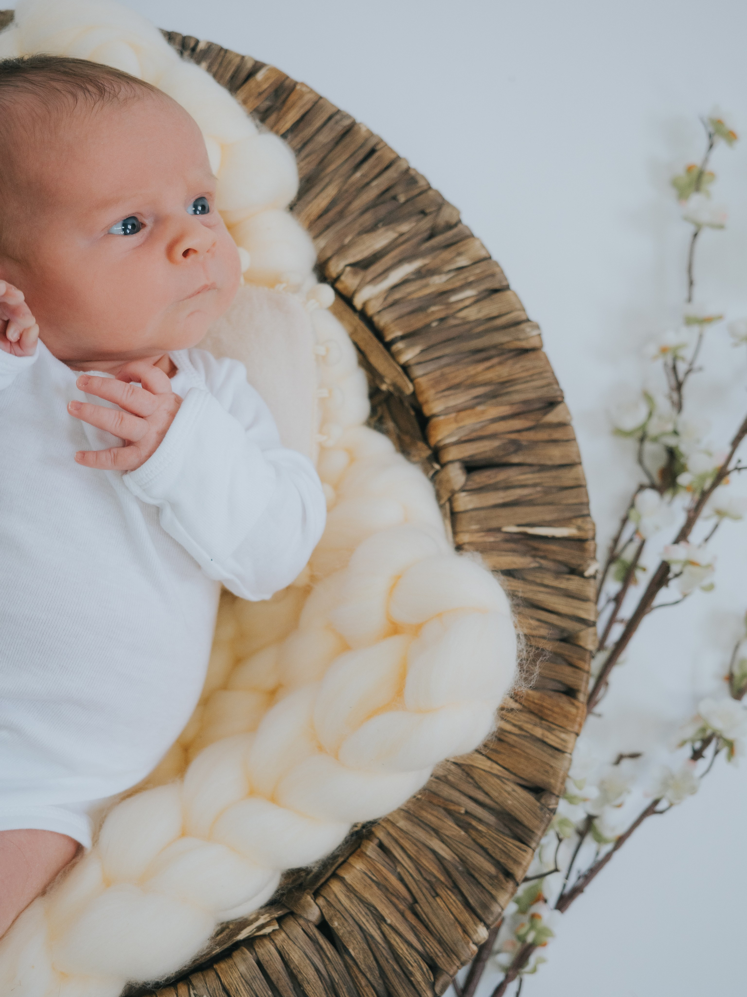 Newborn. Mimosa Studios — Motherhood, Portrait & Family Photographer in Montreal