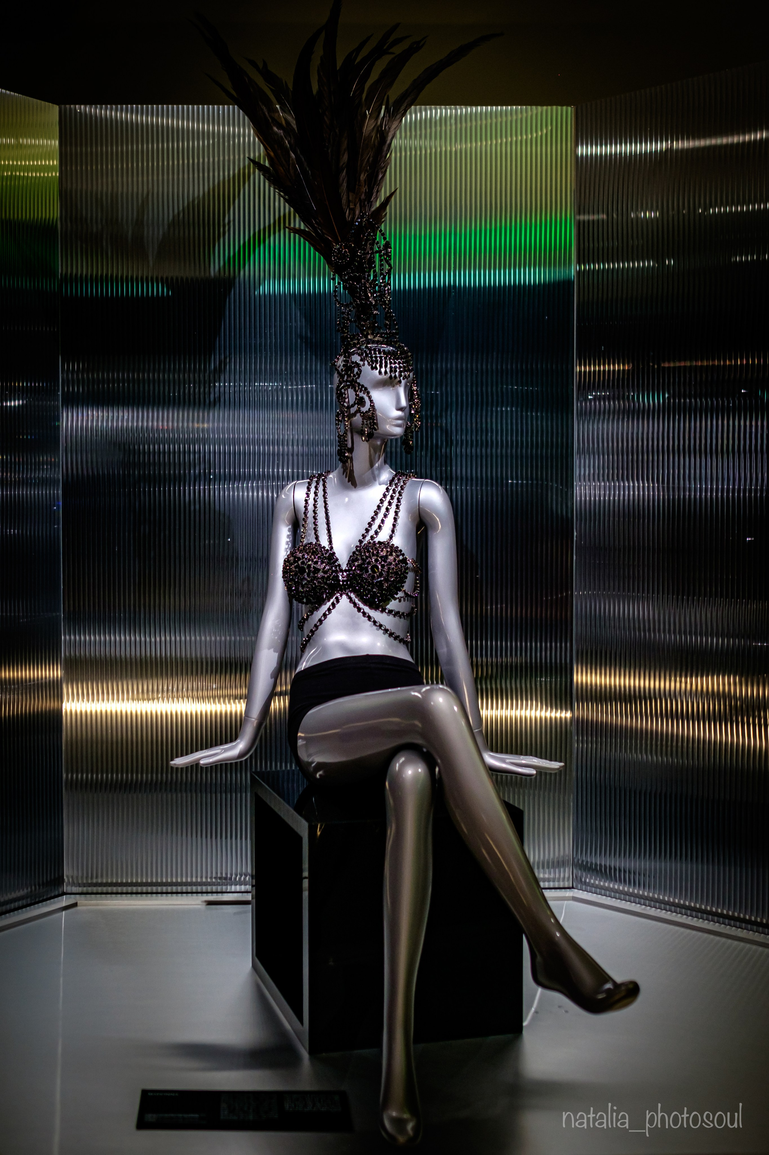 SWAROVSKI MASTERS OF LIGHT FROM VIENNA TO SEOUL. Photographer in Seoul Dobrokvashina Natalya