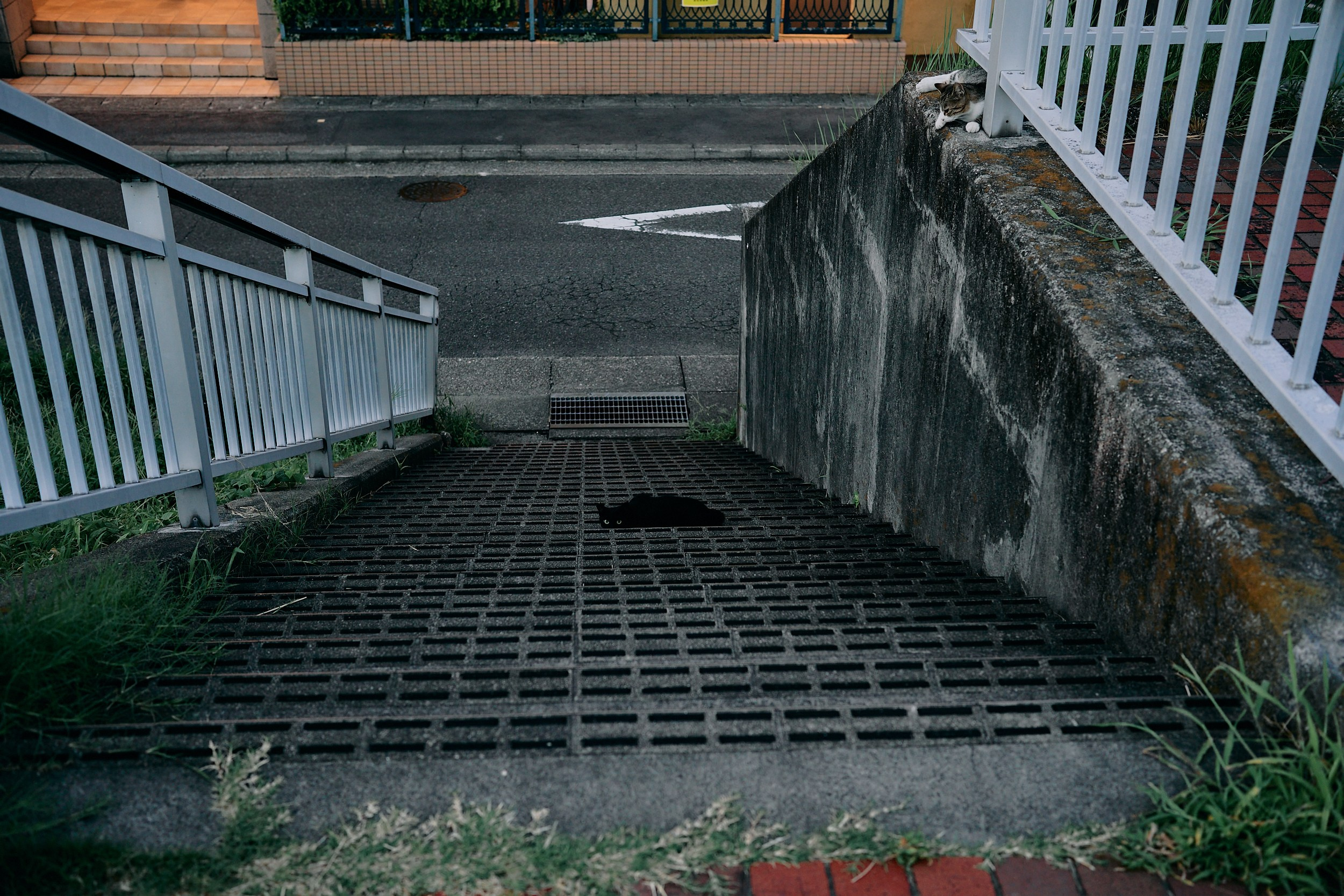 緑のキュロット (Work in progress). MT
