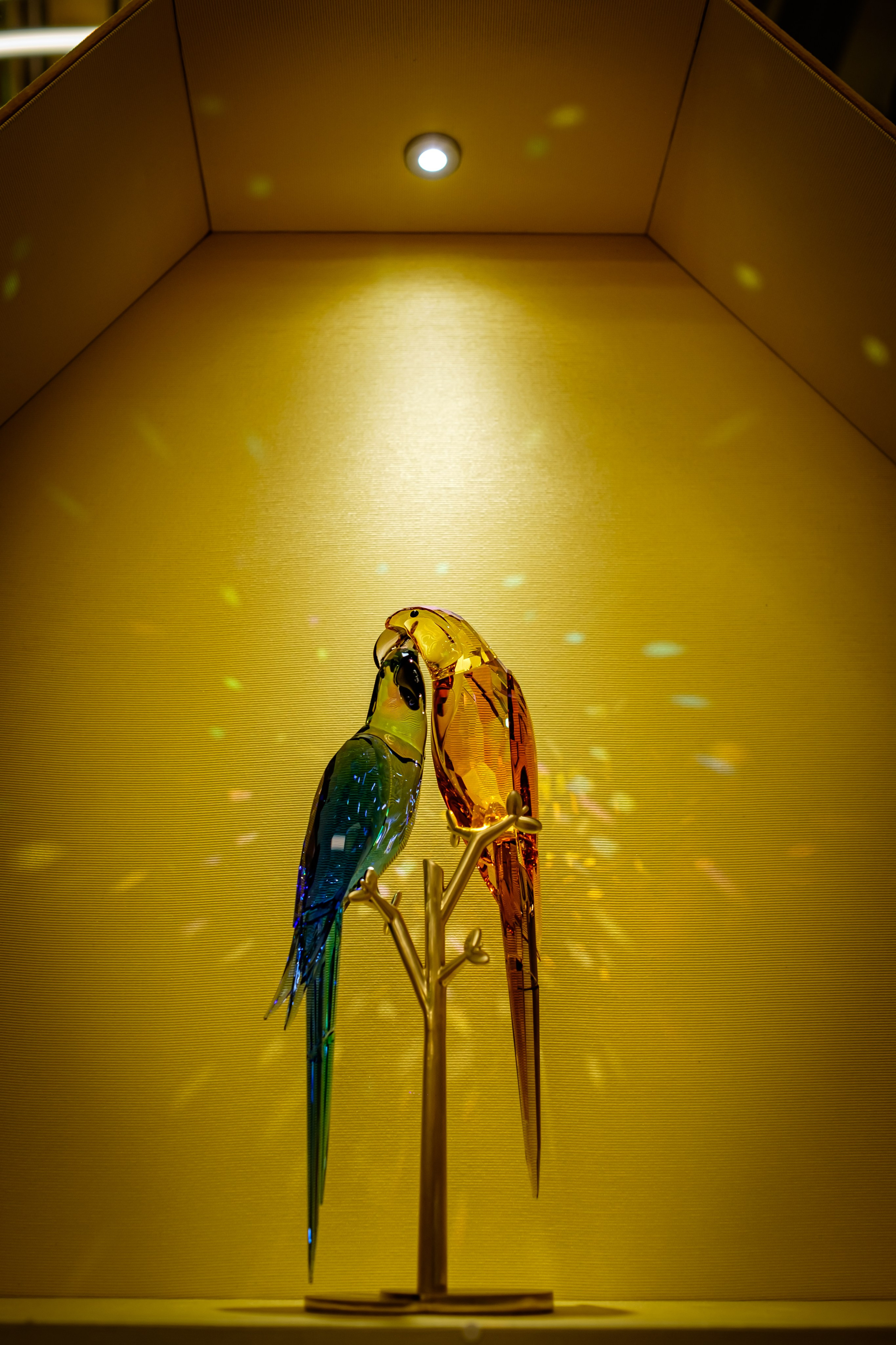 SWAROVSKI. Фотограф в Сеуле, Южная Корея Наталья Доброквашина