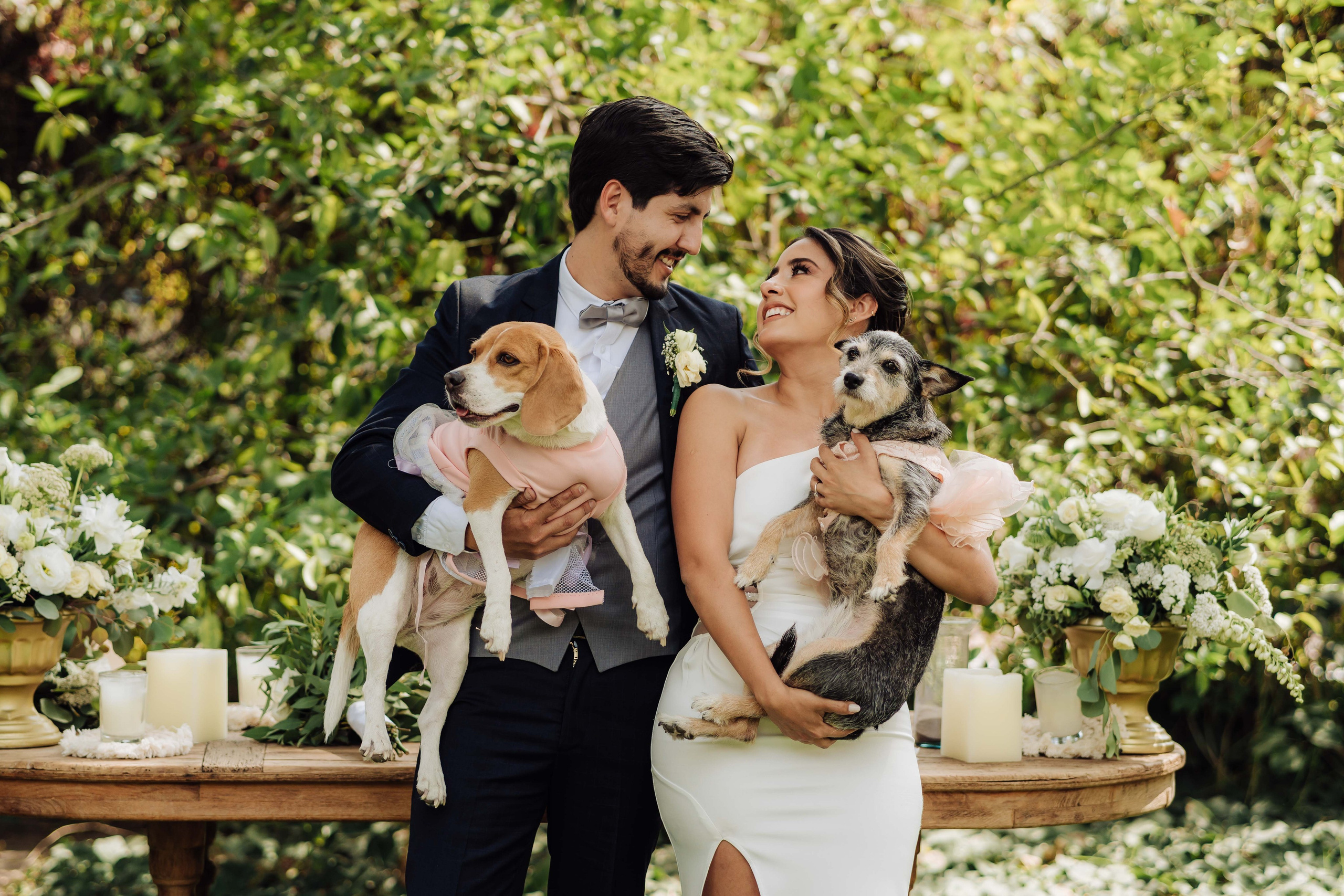 Fotografo de Bodas. Fotografo Profesional