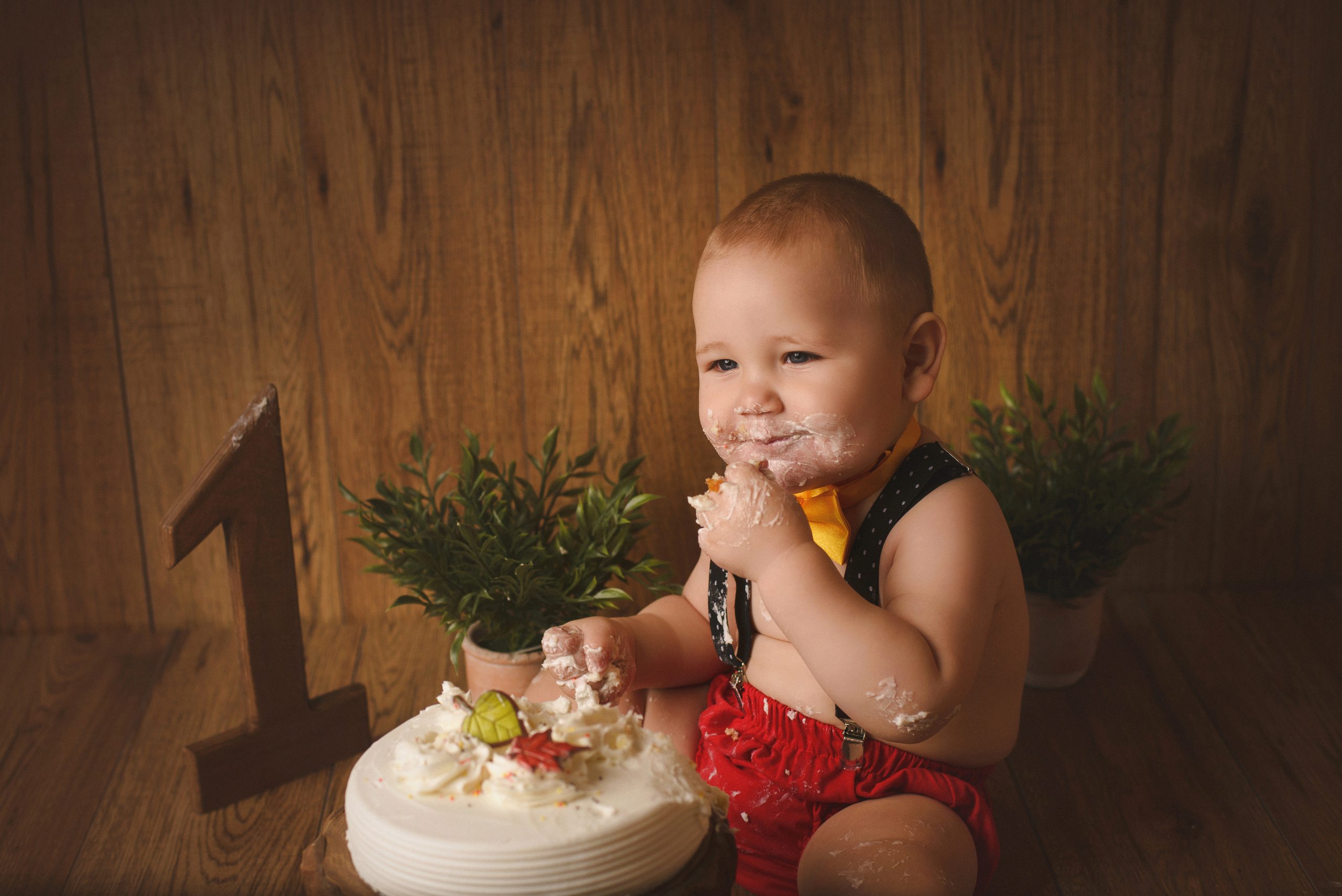 A Little Gentleman. Ottawa Newborn and Baby Newborn Photographer Elena Helali
