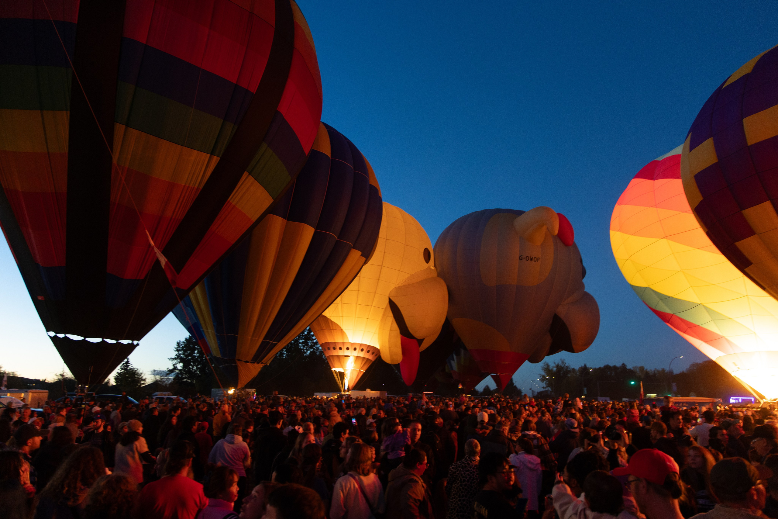 High River Balloon Festival Lights Up the Sky. ProFly Media Inc. — Cinematic photo and video production for brands, businesses, and spaces in Calgary