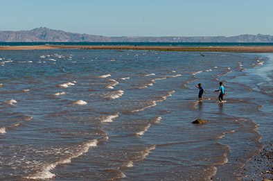 Fine Art Photography Prints Los Cabos | Art Collection | Izrael Reyna. Los Cabos Photographer | Proposals, Families & Intimate Weddings – Izrael Reyna