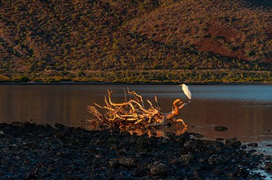 Fine Art Photography Prints Los Cabos | Art Collection | Izrael Reyna. Los Cabos Photographer | Proposals, Families & Intimate Weddings – Izrael Reyna