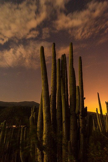 Fine Art Photography Prints Los Cabos | Art Collection | Izrael Reyna. Los Cabos Photographer | Proposals, Families & Intimate Weddings – Izrael Reyna