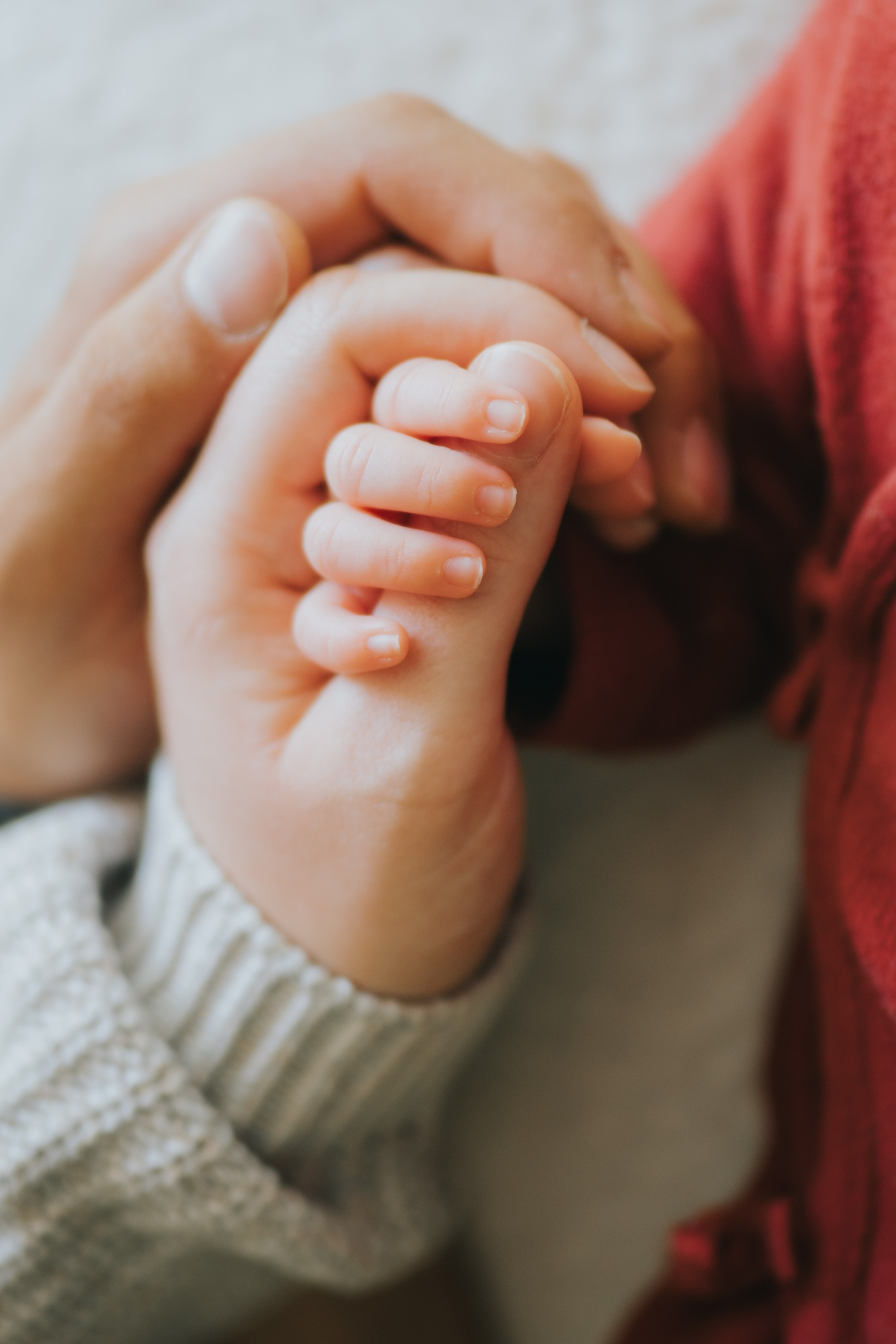 Mimosa Studios — Motherhood, Portrait & Family Photographer in Montreal
