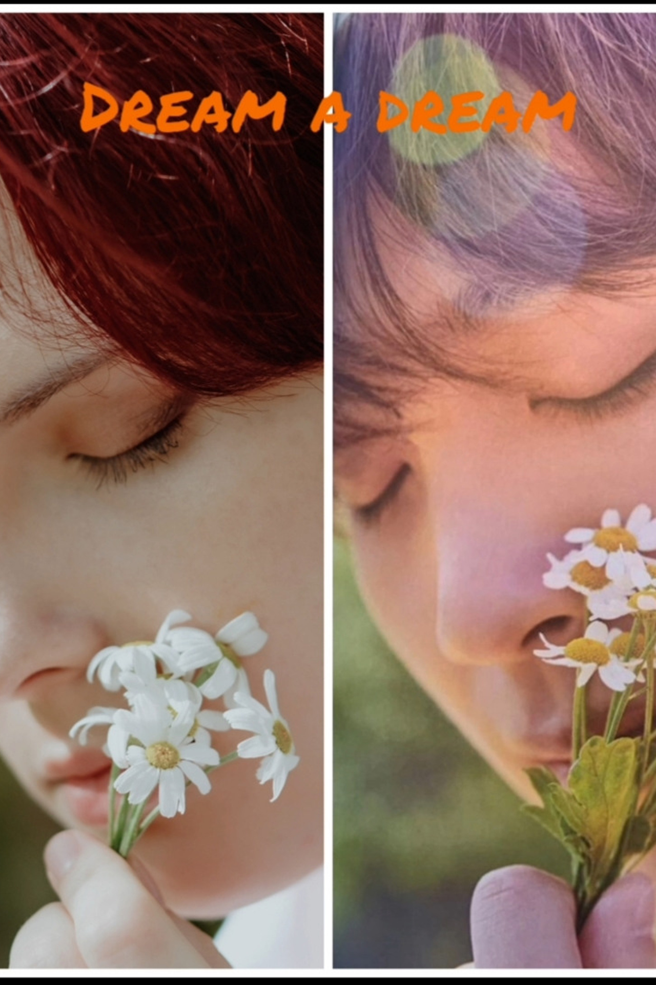 Blog. Photographer in Seoul Dobrokvashina Natalya