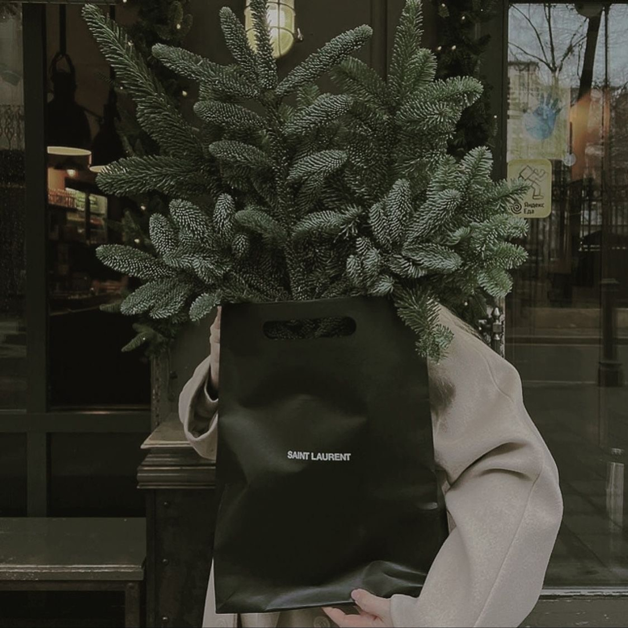 Christmas Photo Day. Photographer and Blogger Europe/Asia Nika Stoma