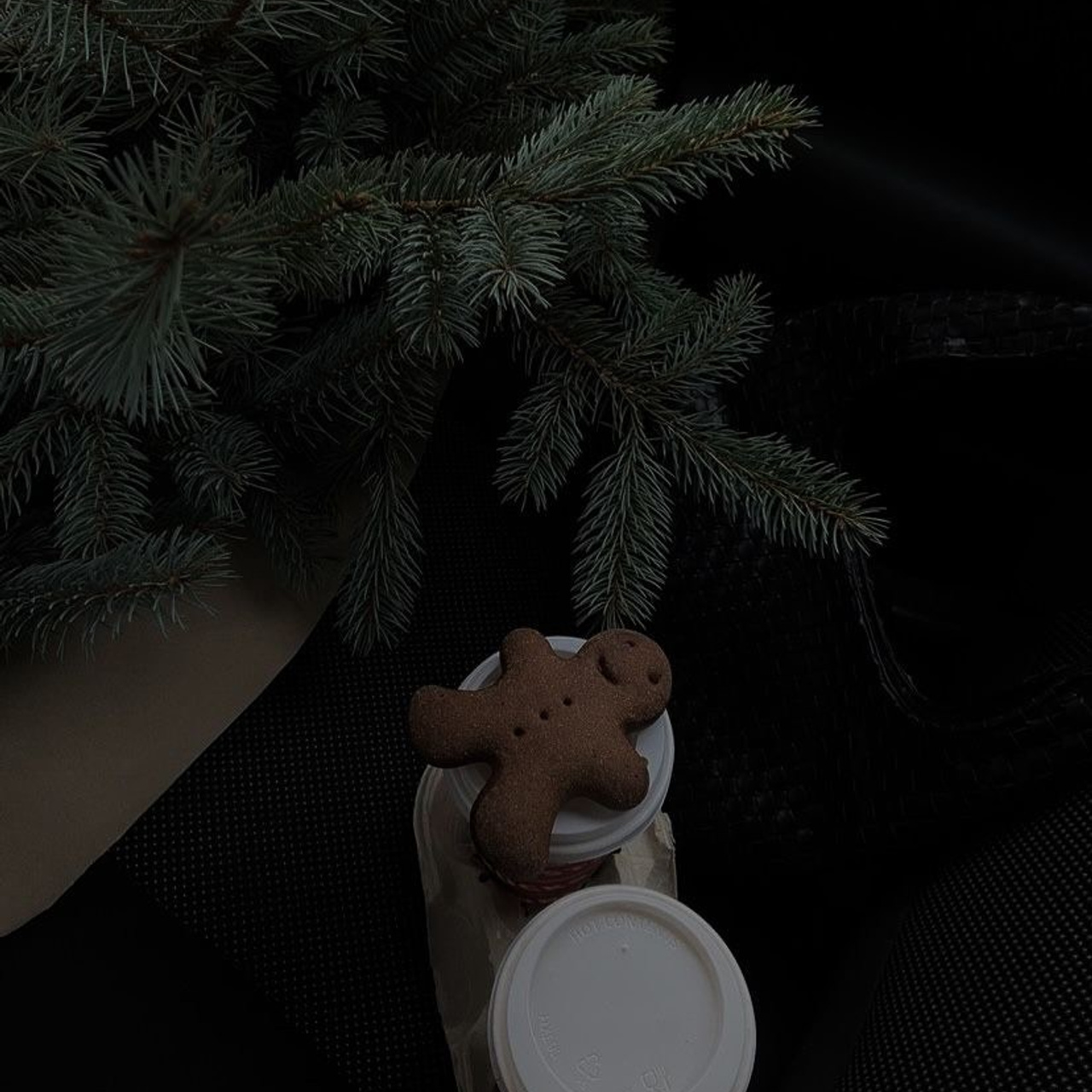 Christmas Photo Day. Photographer and Blogger Europe/Asia Nika Stoma